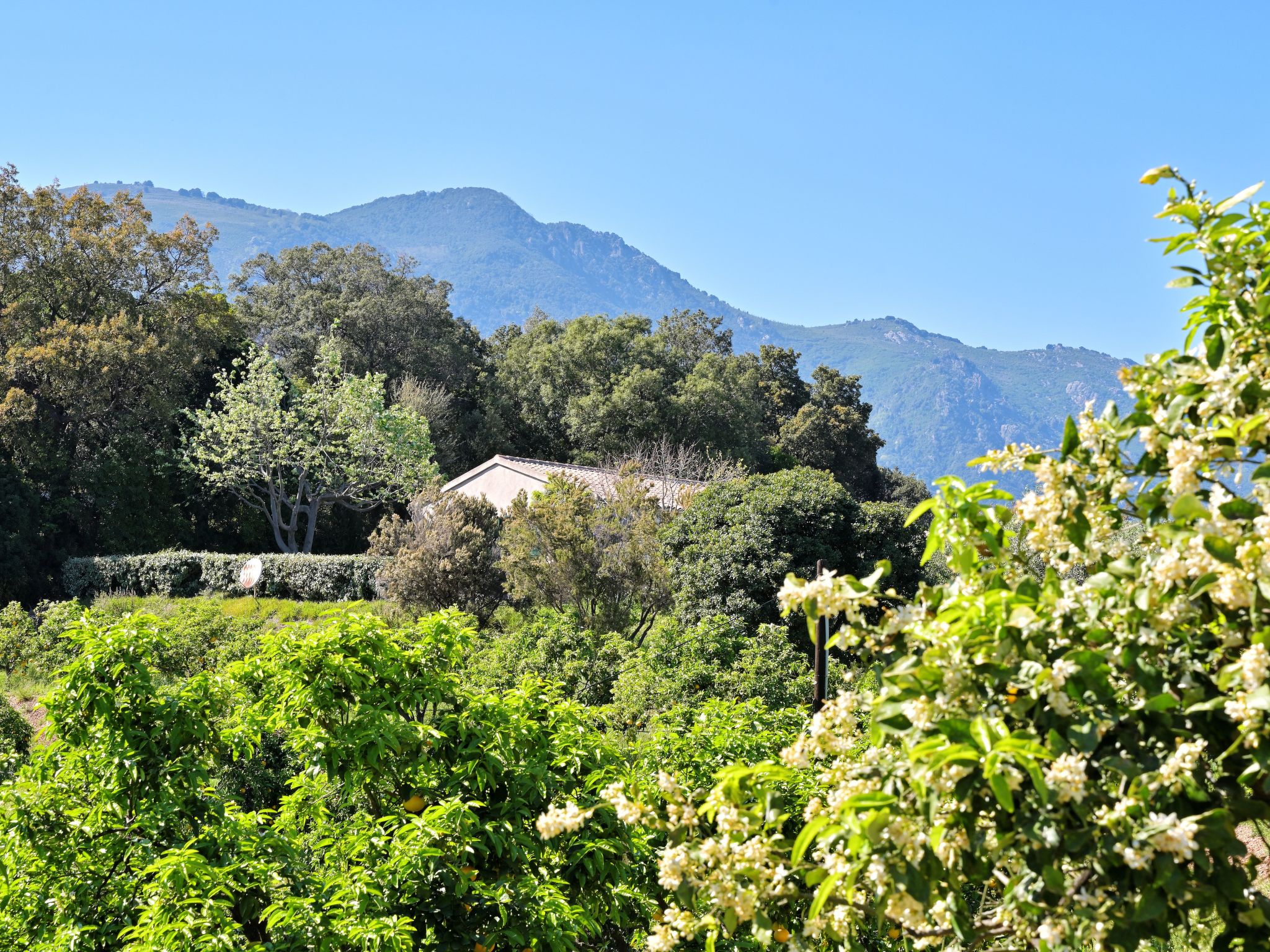 Weingut Punta della Guardia Ruhig und beschaulich-Drinnen