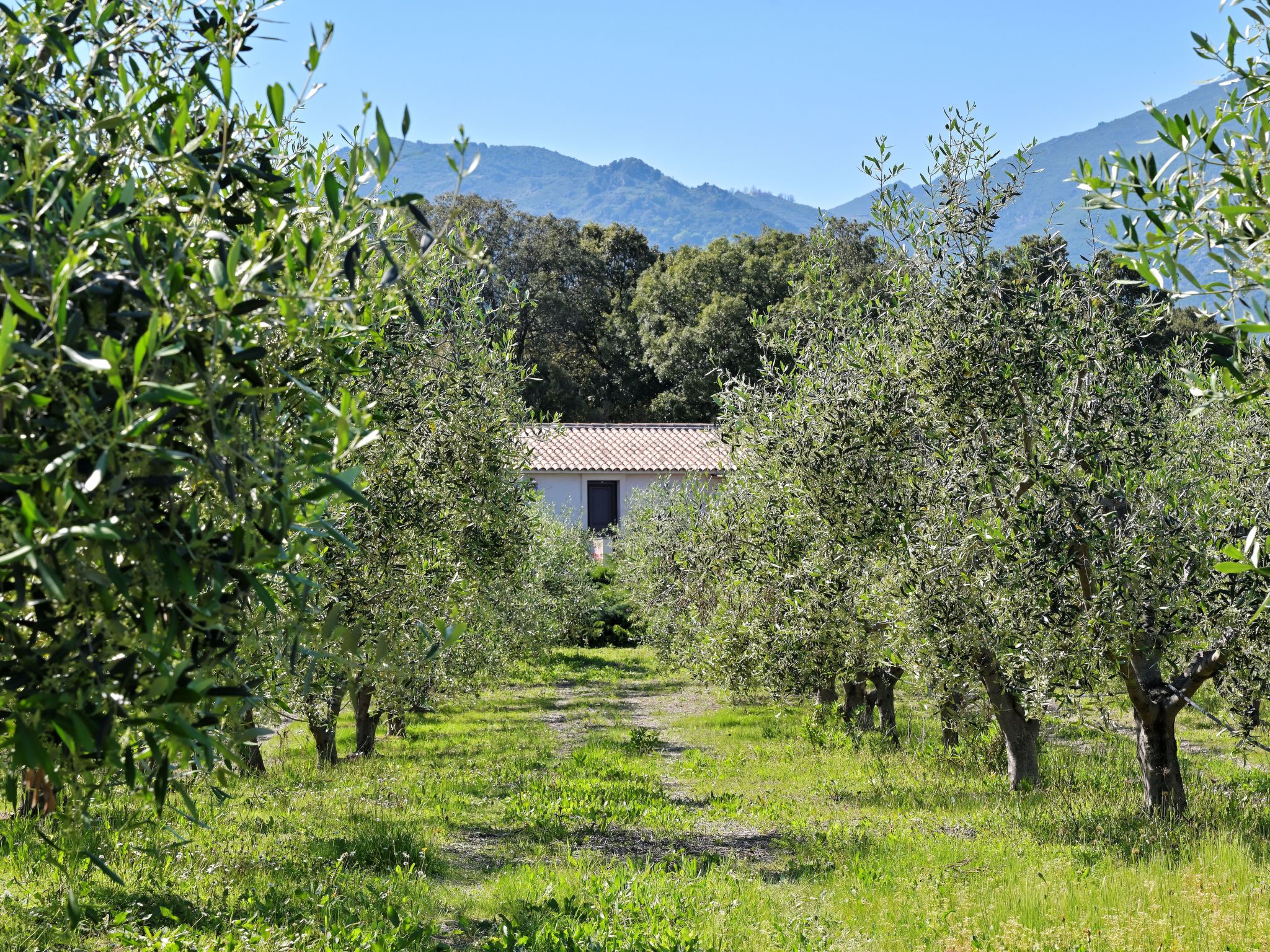 Weingut Punta della Guardia Ruhig und beschaulich-Drinnen