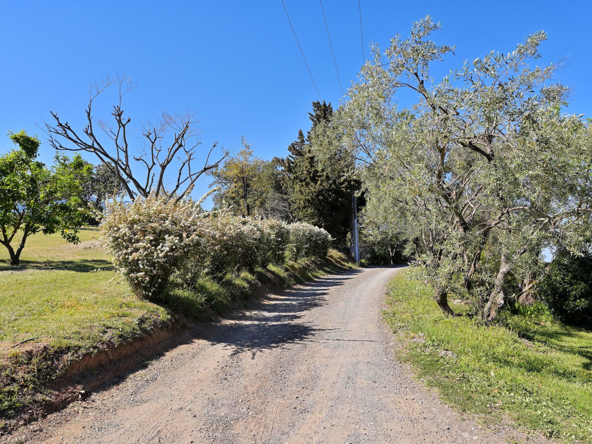 Weingut Punta della Guardia Ruhig und beschaulich-Drinnen