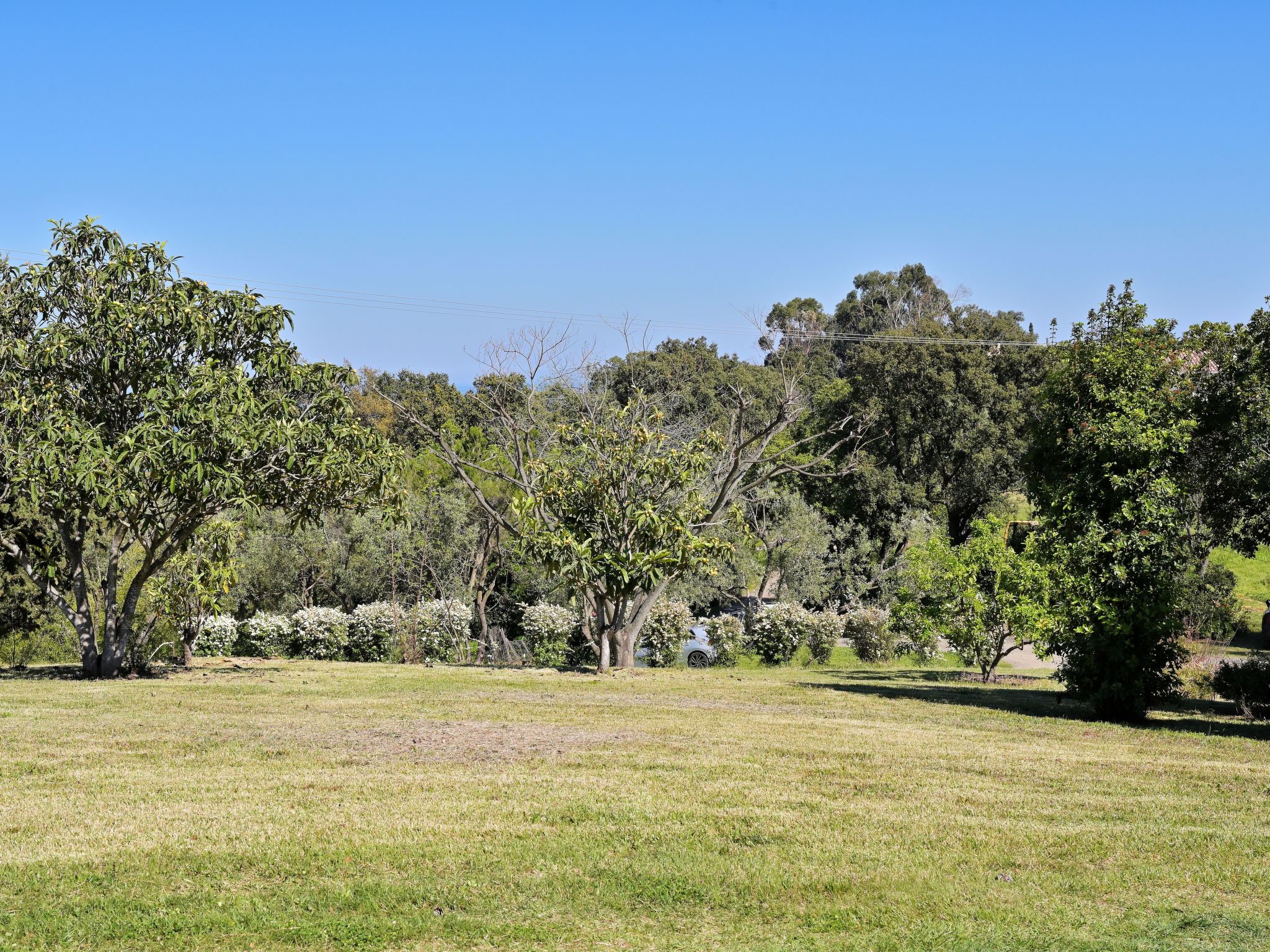 Weingut Punta della Guardia Ruhig und beschaulich-Drinnen