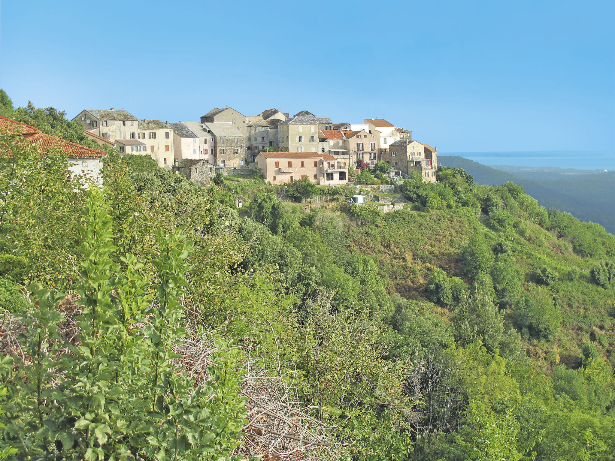 Weingut Punta della Guardia Ruhig und beschaulich-Umgebung