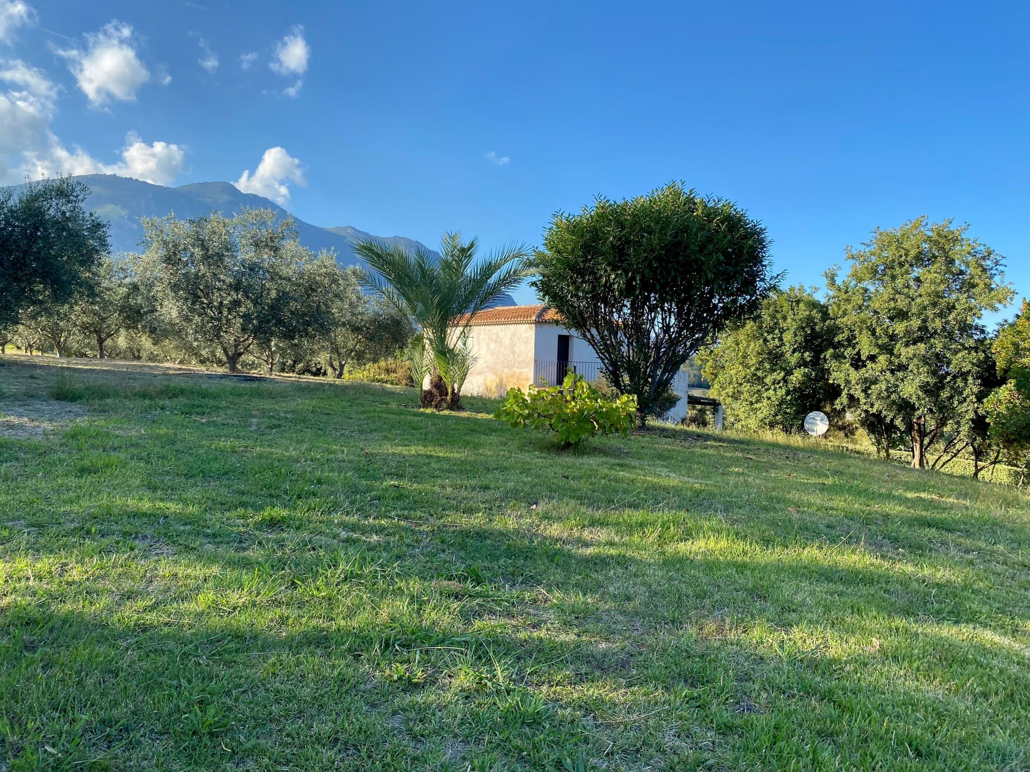 Villa mit Meerblick U Castagnu in geschützter Natur-Drinnen