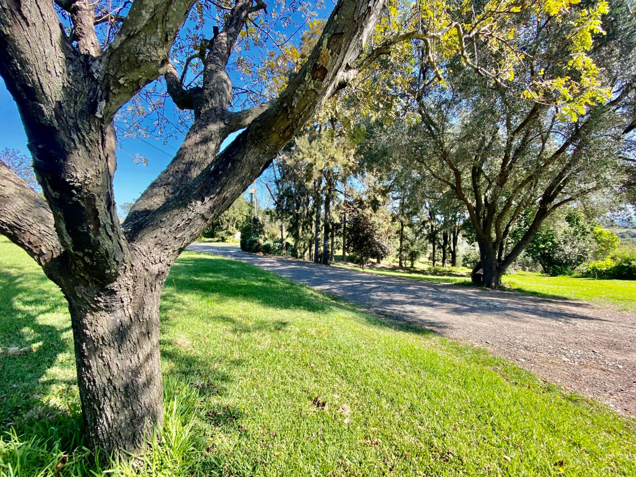 Weingut Punta della Guardia Panorama von Macchia und Meer-Drinnen