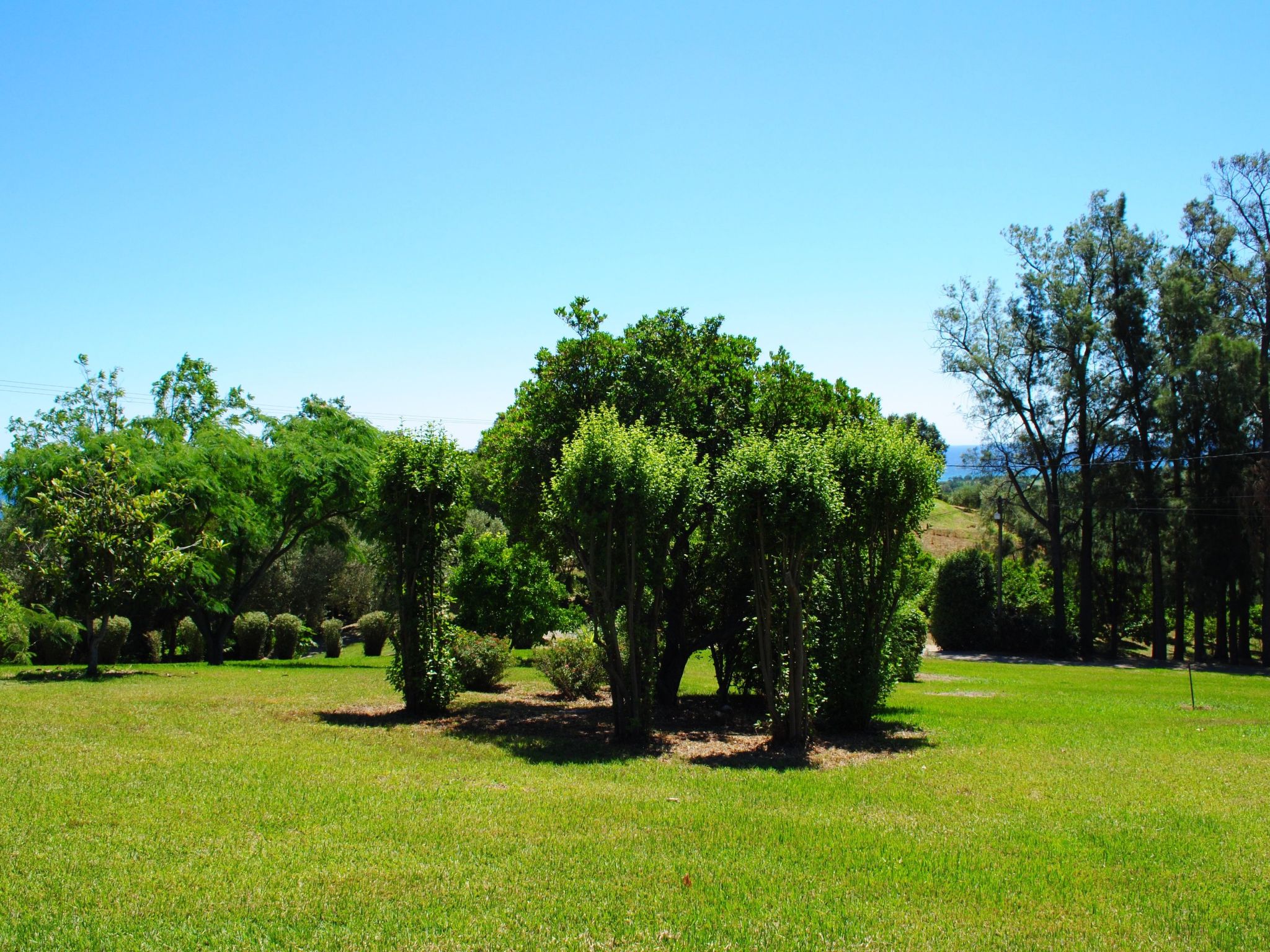 Weingut Punta della Guardia Panorama von Macchia und Meer-Drinnen