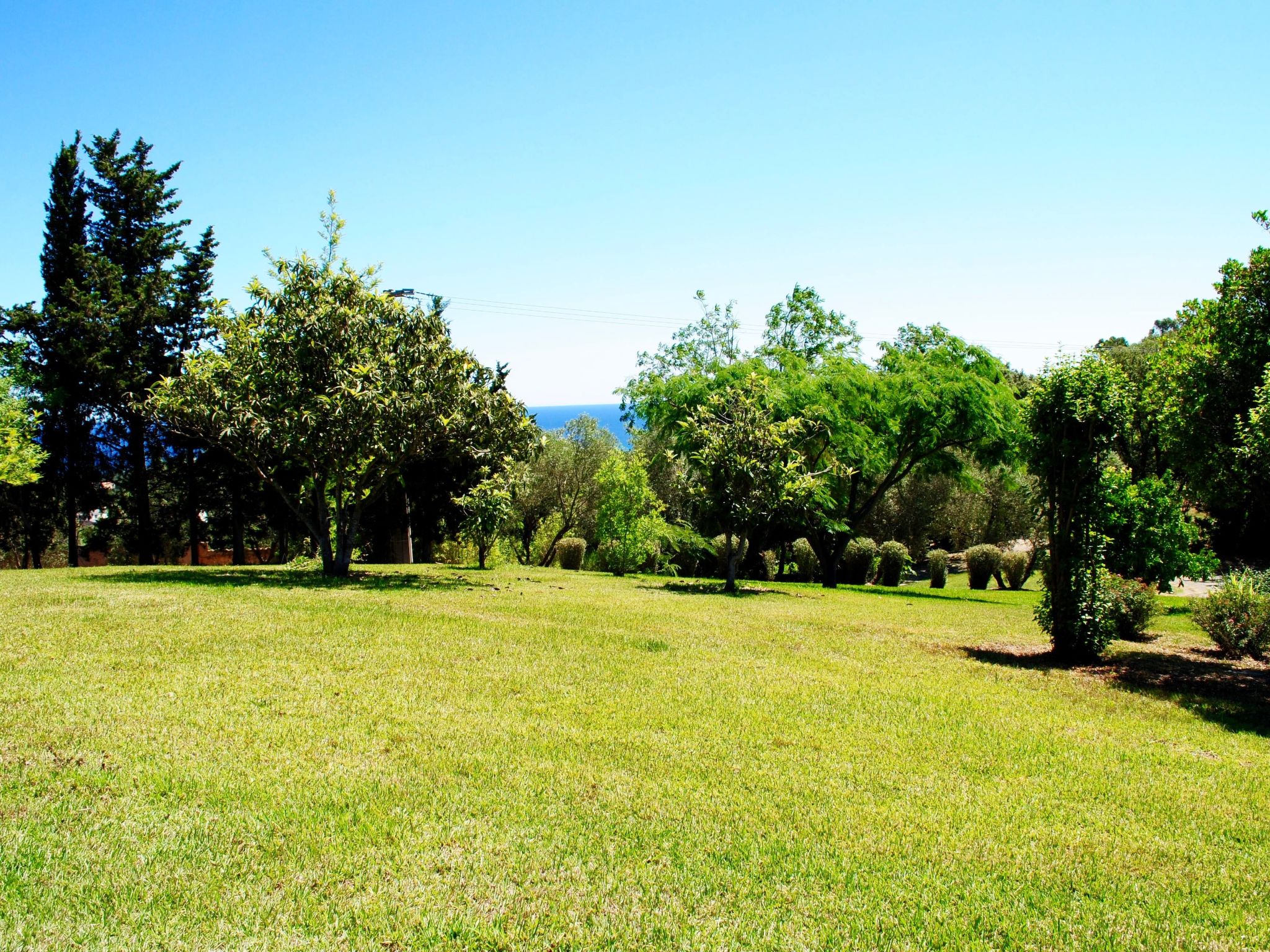 Weingut Punta della Guardia Panorama von Macchia und Meer-Drinnen