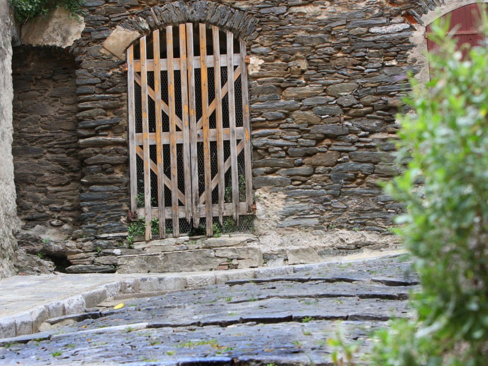 Weingut Punta della Guardia Panorama von Macchia und Meer-Drinnen