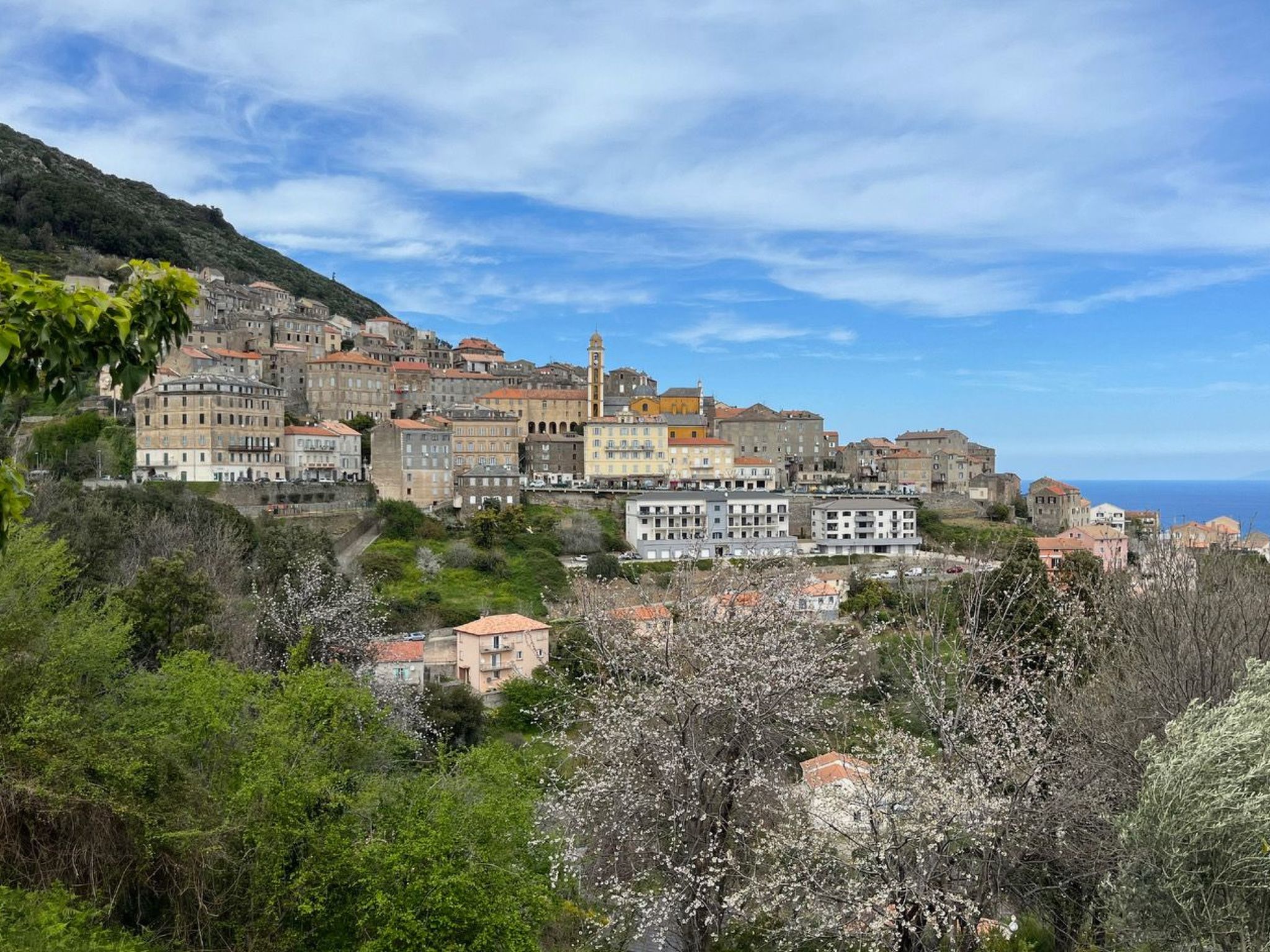 Weingut Punta della Guardia Panorama von Macchia und Meer-Drinnen