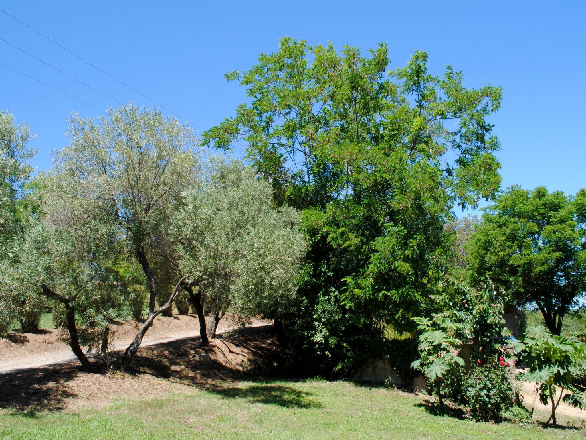 Villa Belle Vue, direkt am Meer, 1-2 Haustiere erlaubt-Drinnen
