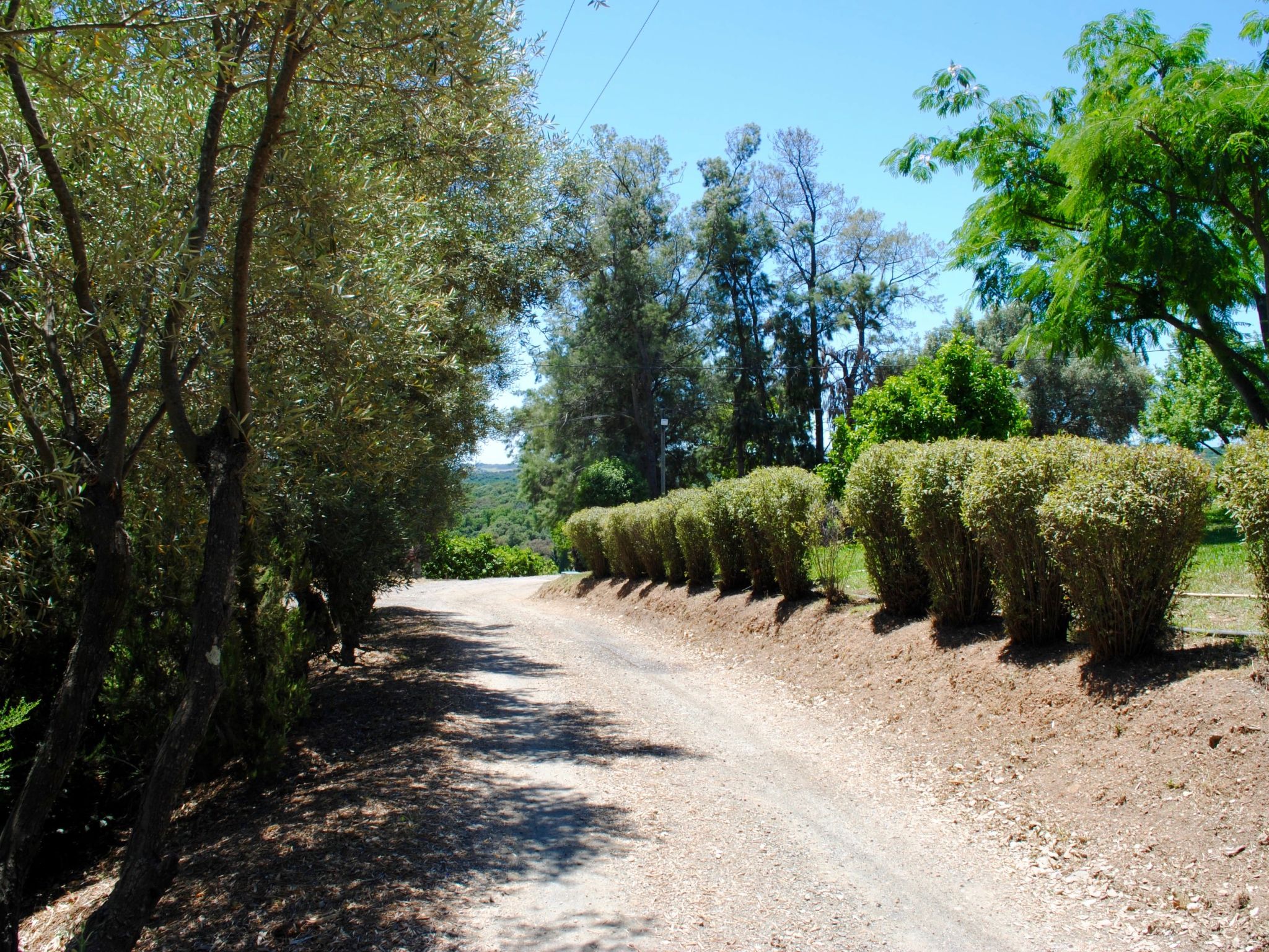 Villa Belle Vue, direkt am Meer, 1-2 Haustiere erlaubt-Drinnen