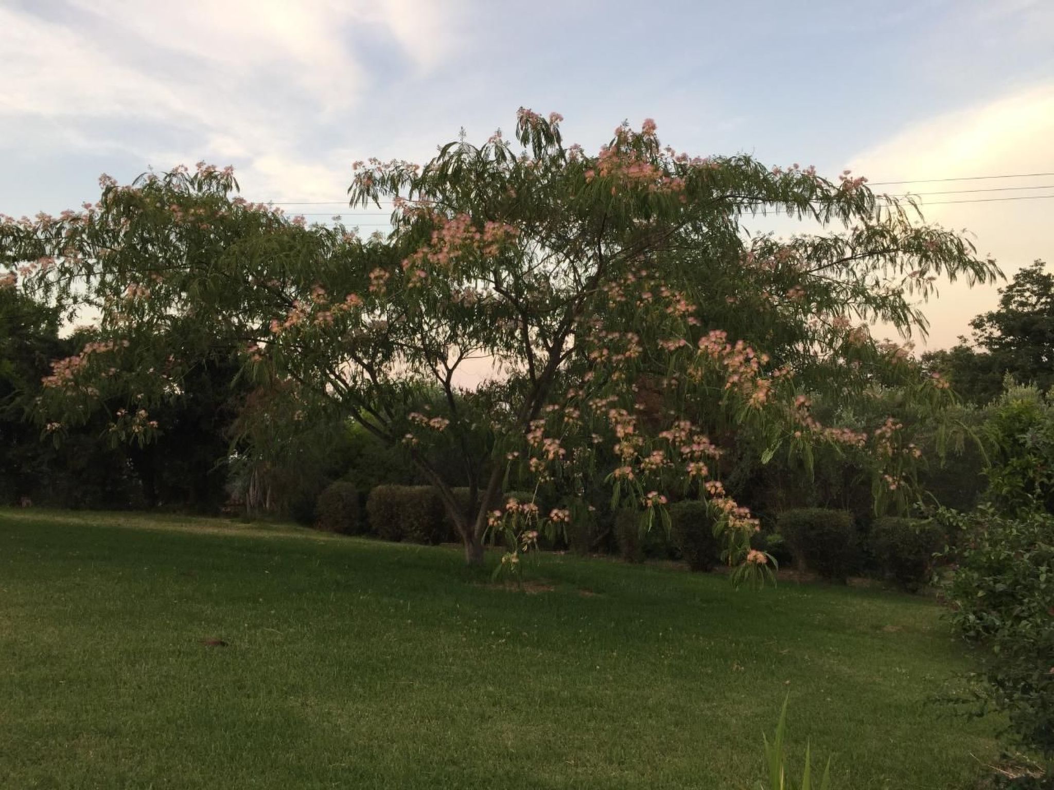 Villa Belle Vue, direkt am Meer, 1-2 Haustiere erlaubt-Drinnen