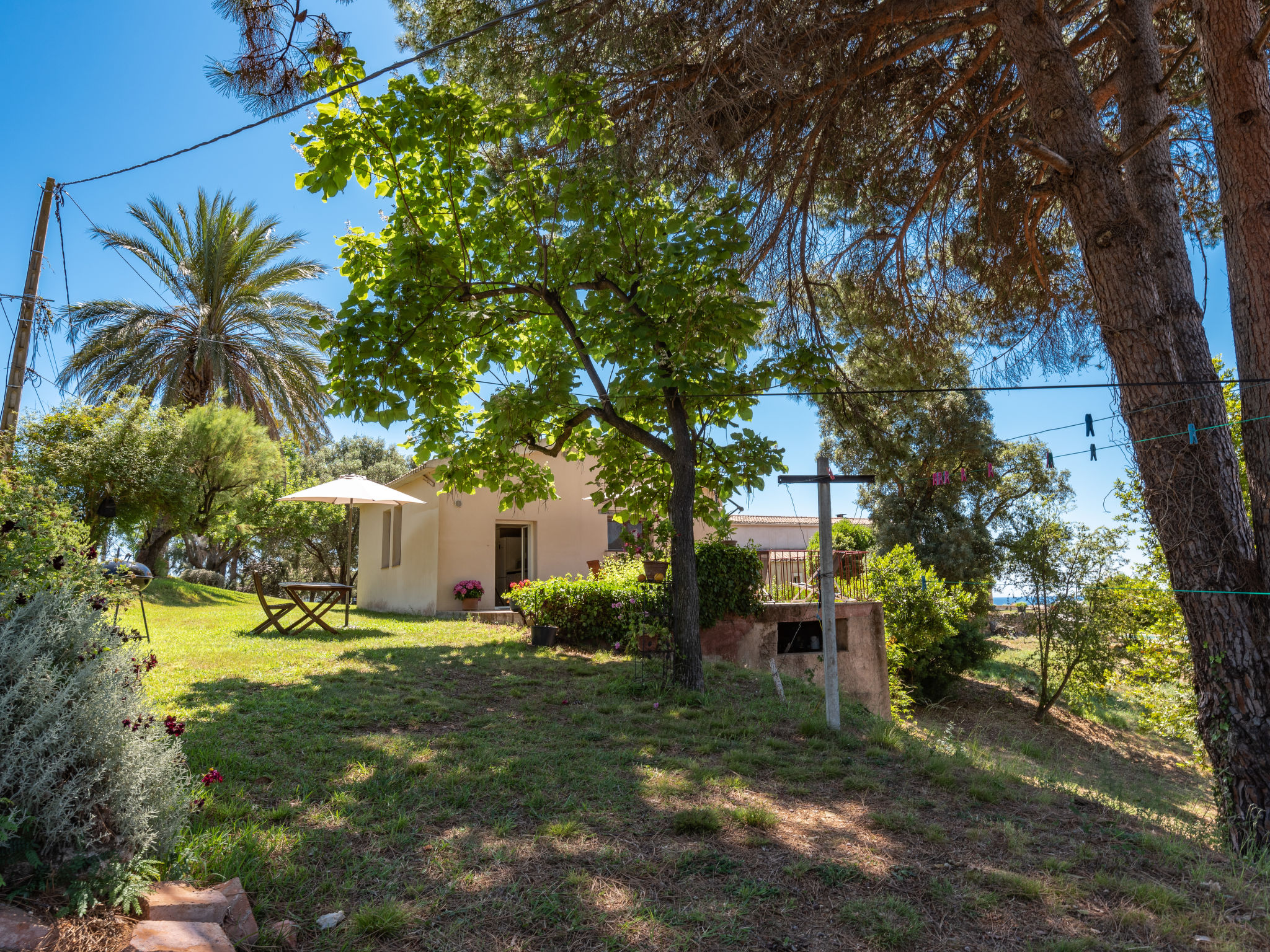 Ferienhaus in Cervione/Castagniccia (Frankreich) und 2 Hunde erlaubt