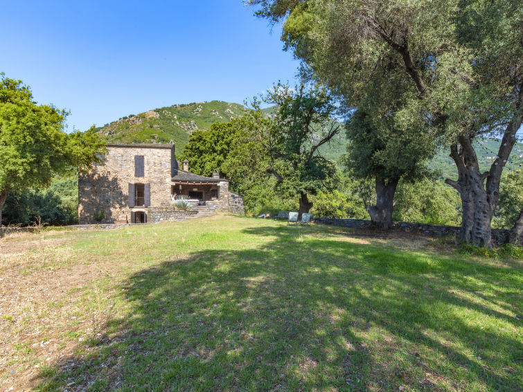 8-persoons authentieke boerderij Formicaccia in Cervione in Cervione/Castagniccia