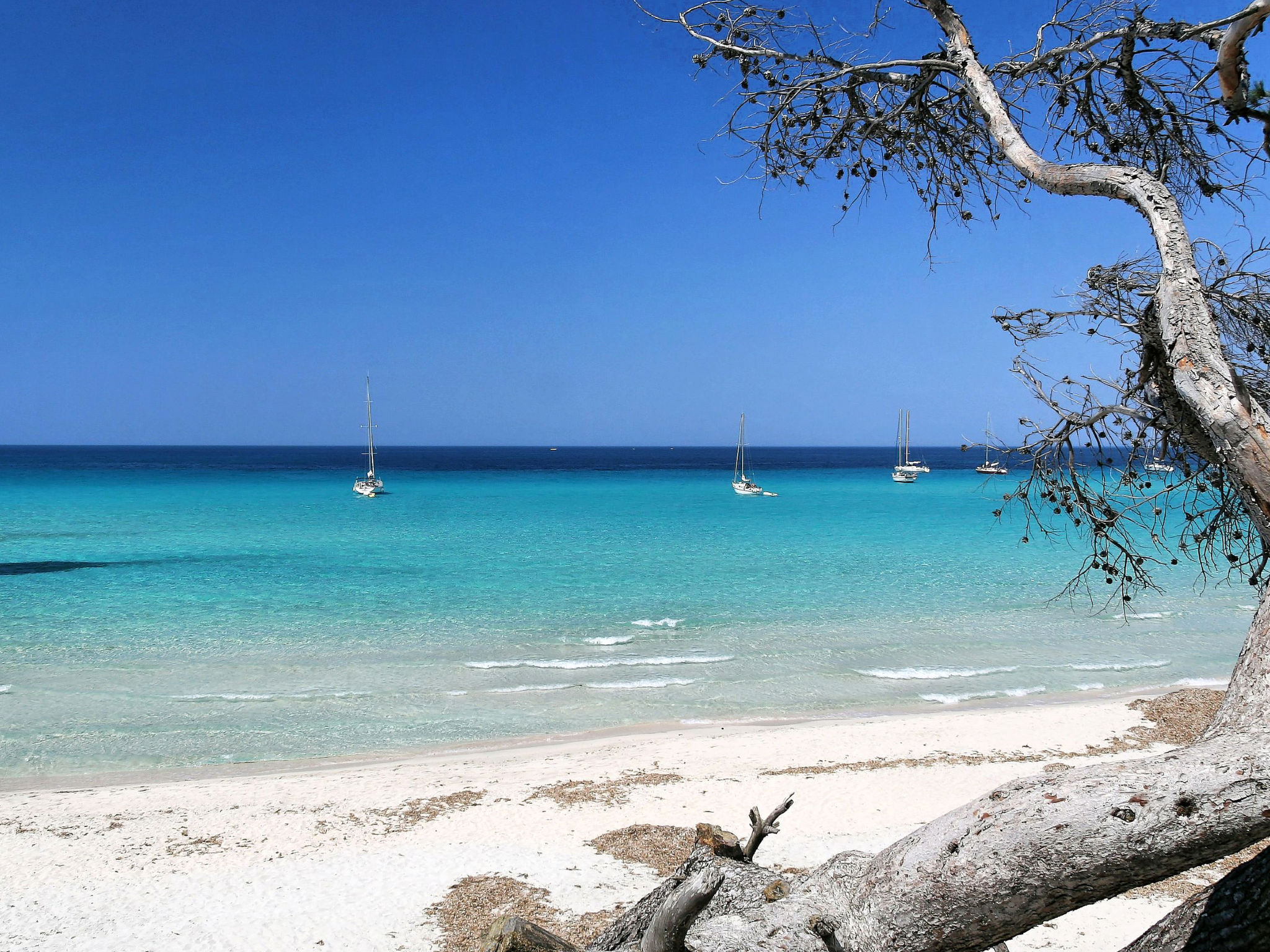 Pont de bateau, Meerblick mit privatem Pool-Umgebung