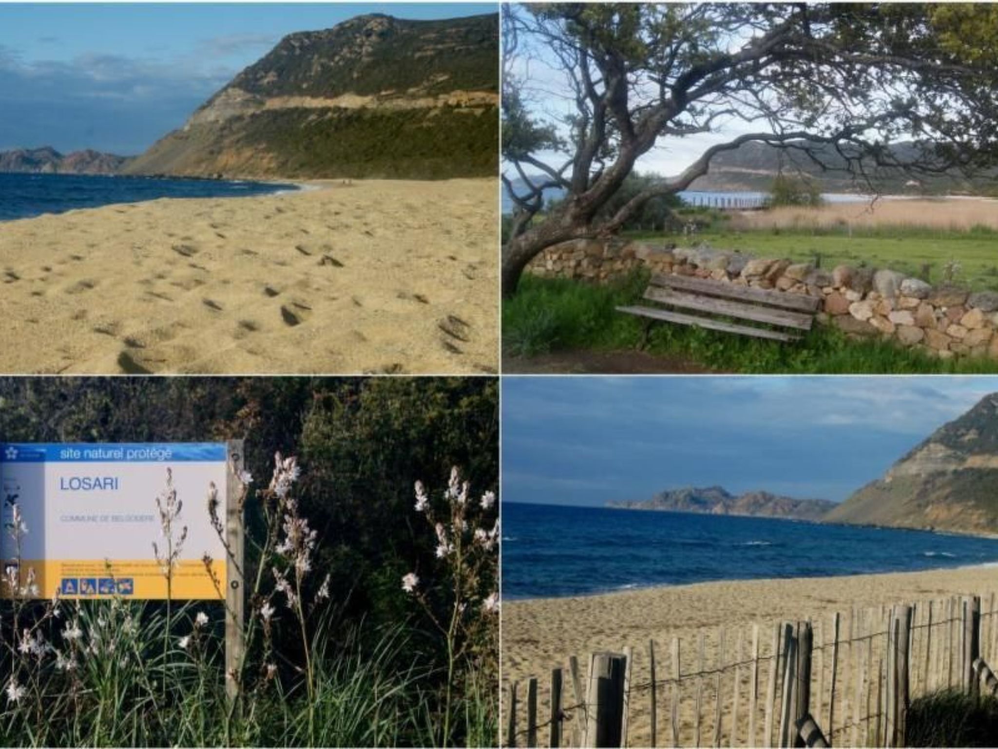 Wohnung mit allem Komfort Strand zu Fuß-Buiten