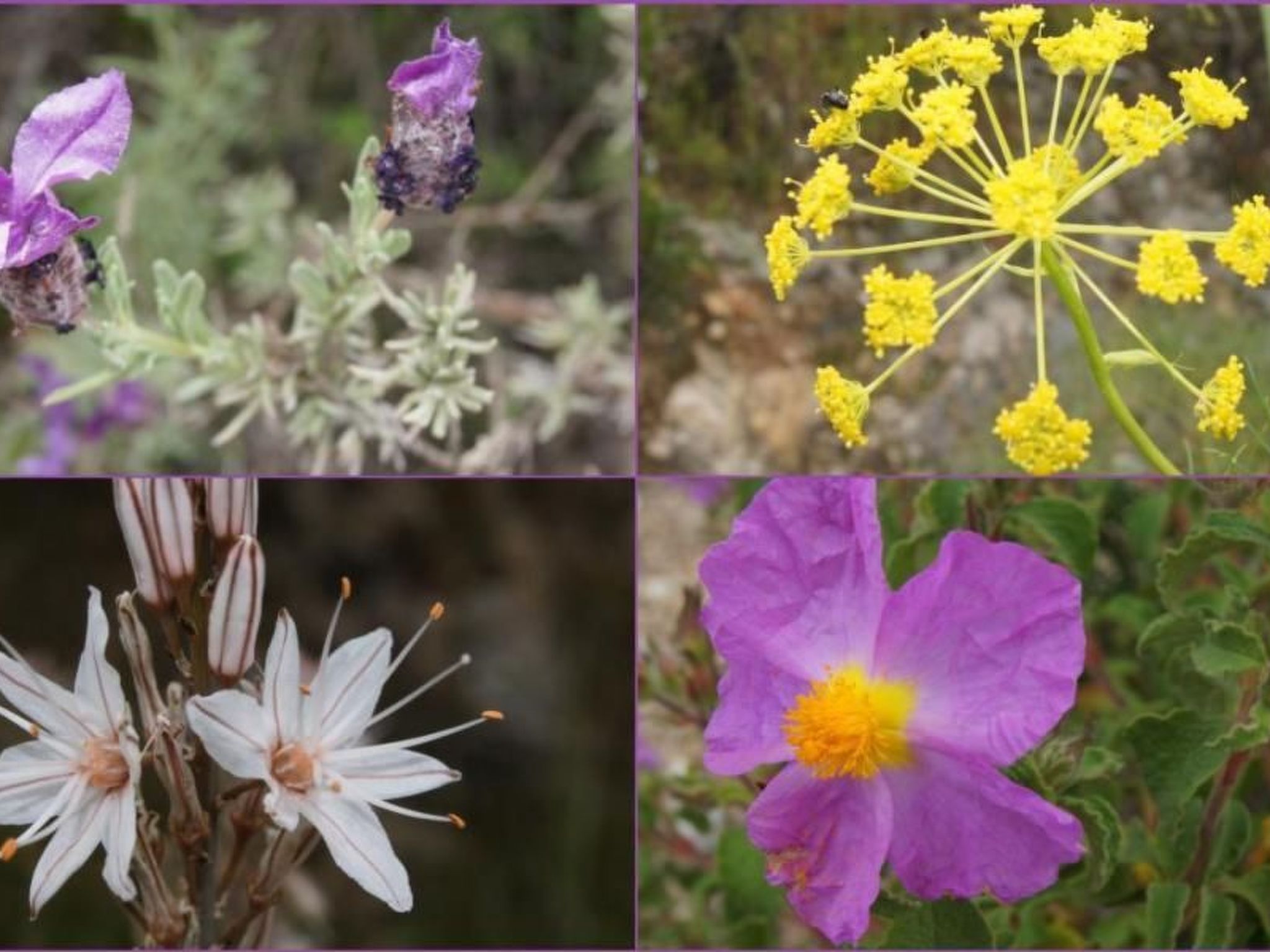 Wohnung mit allem Komfort Strand zu Fuß-Image-tags.info