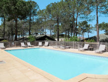 Tramariccia (CAL101)