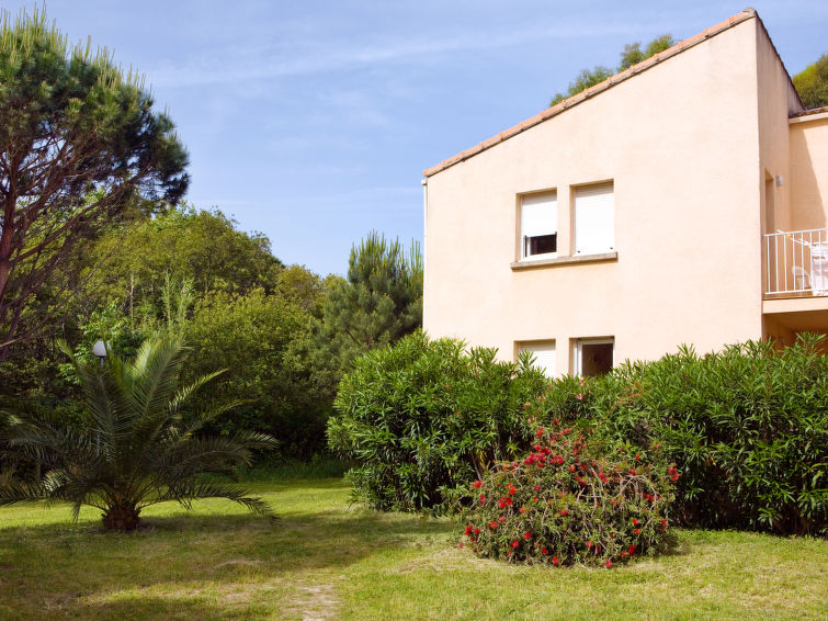 Calvi accommodation villas for rent in Calvi apartments to rent in Calvi holiday homes to rent in Calvi