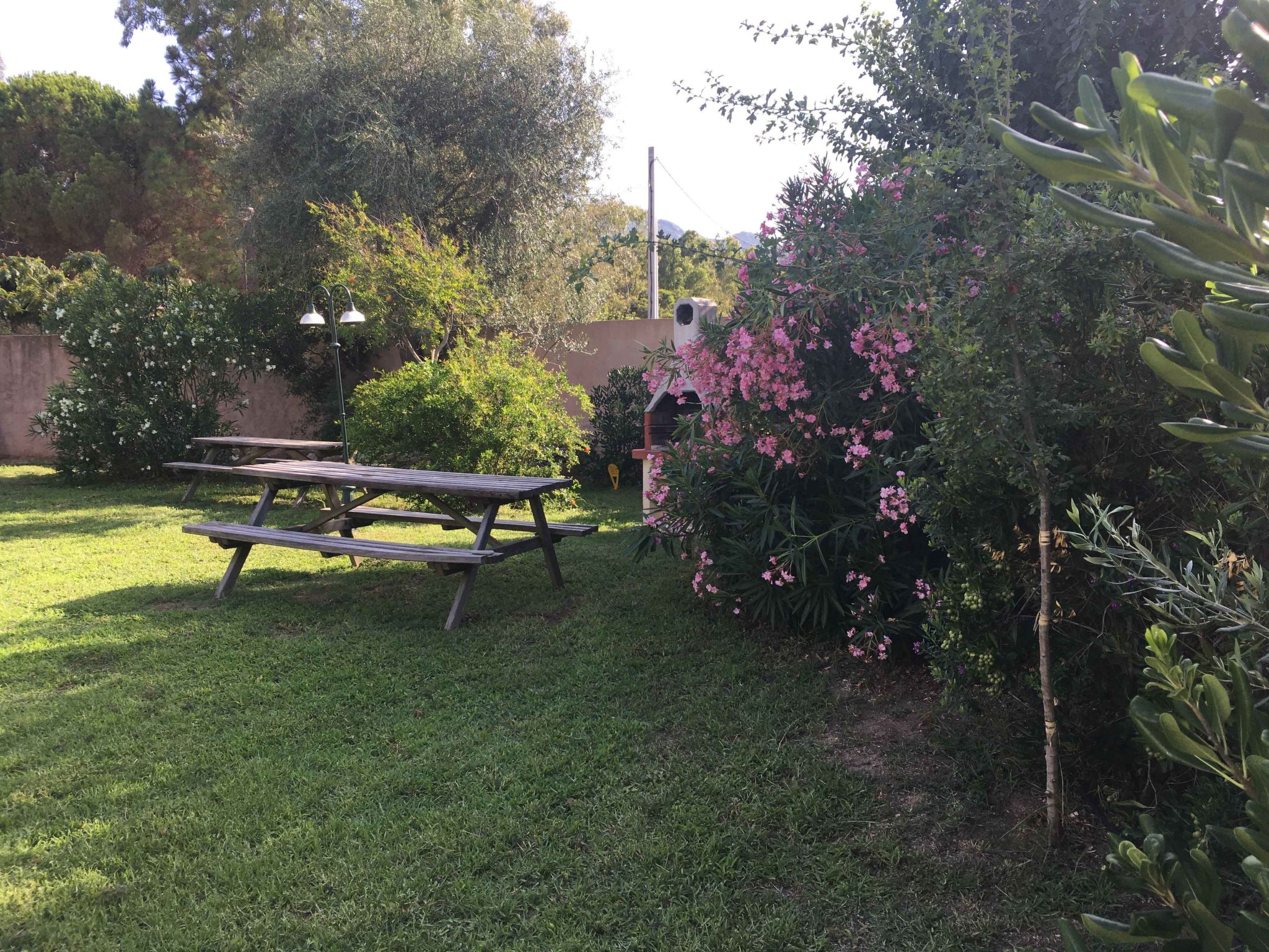 Photo of Pinu - Les Muriers