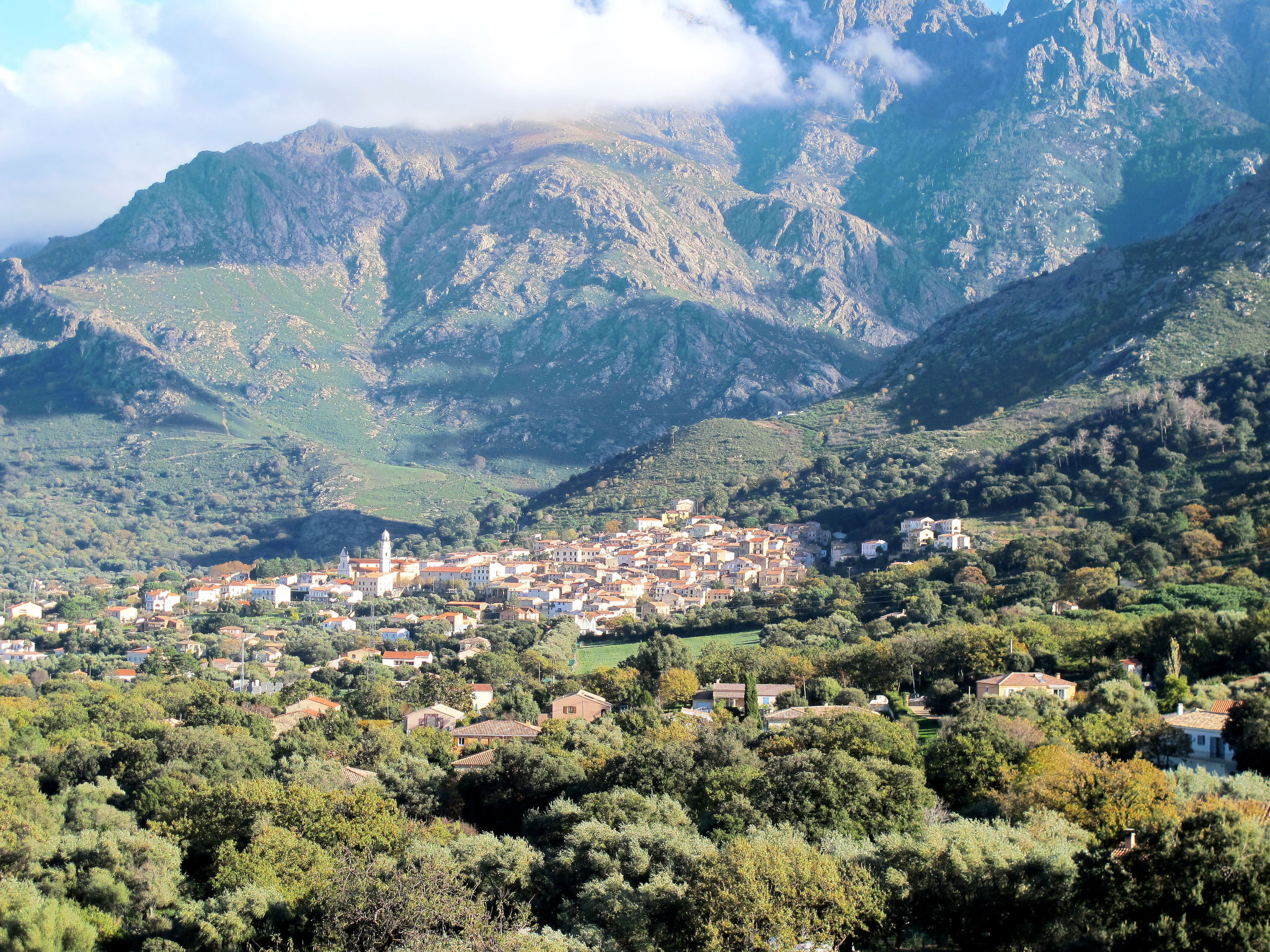 Photo of Pinu - Les Muriers