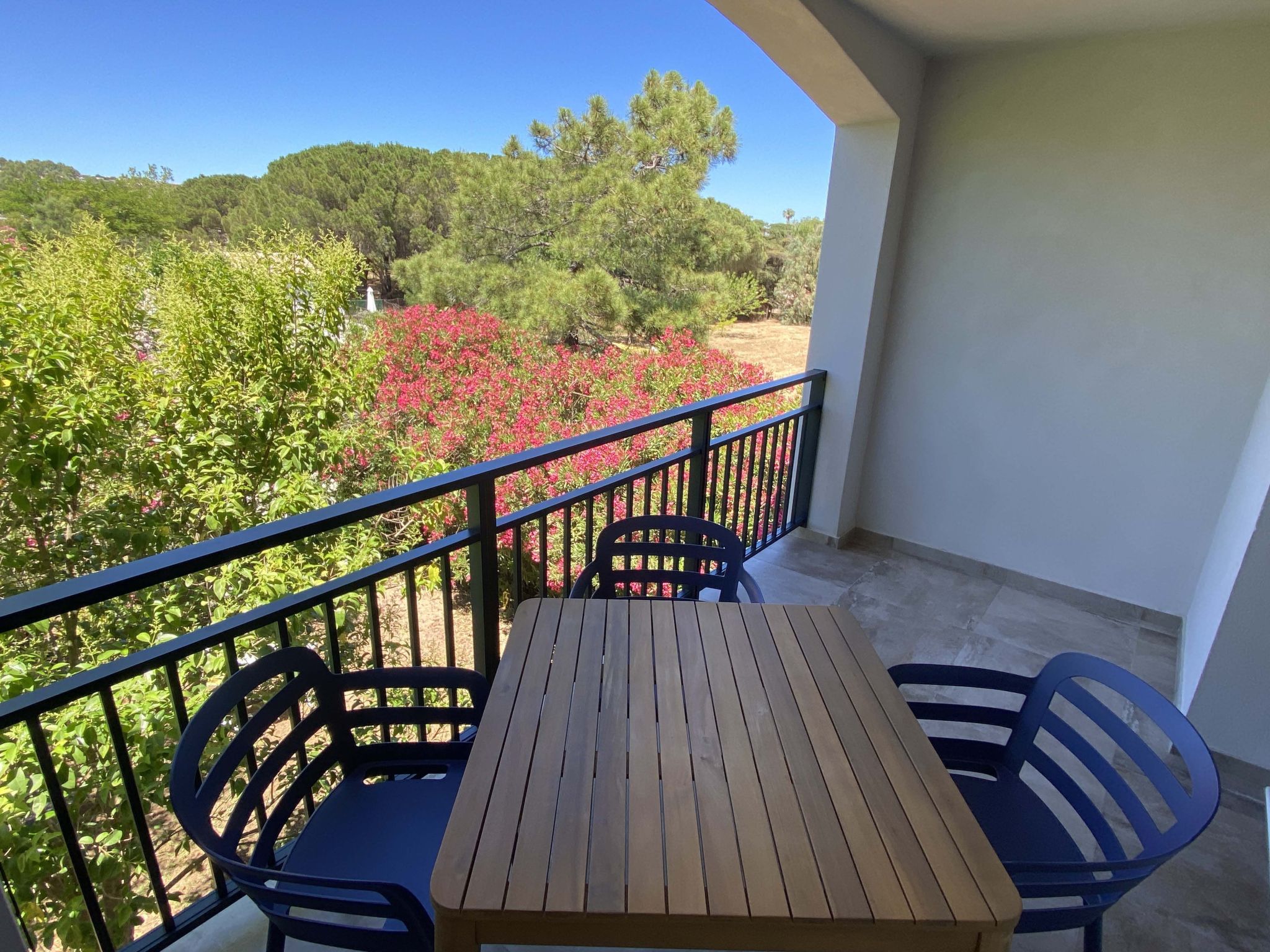 Photo of Scopa - Les Muriers