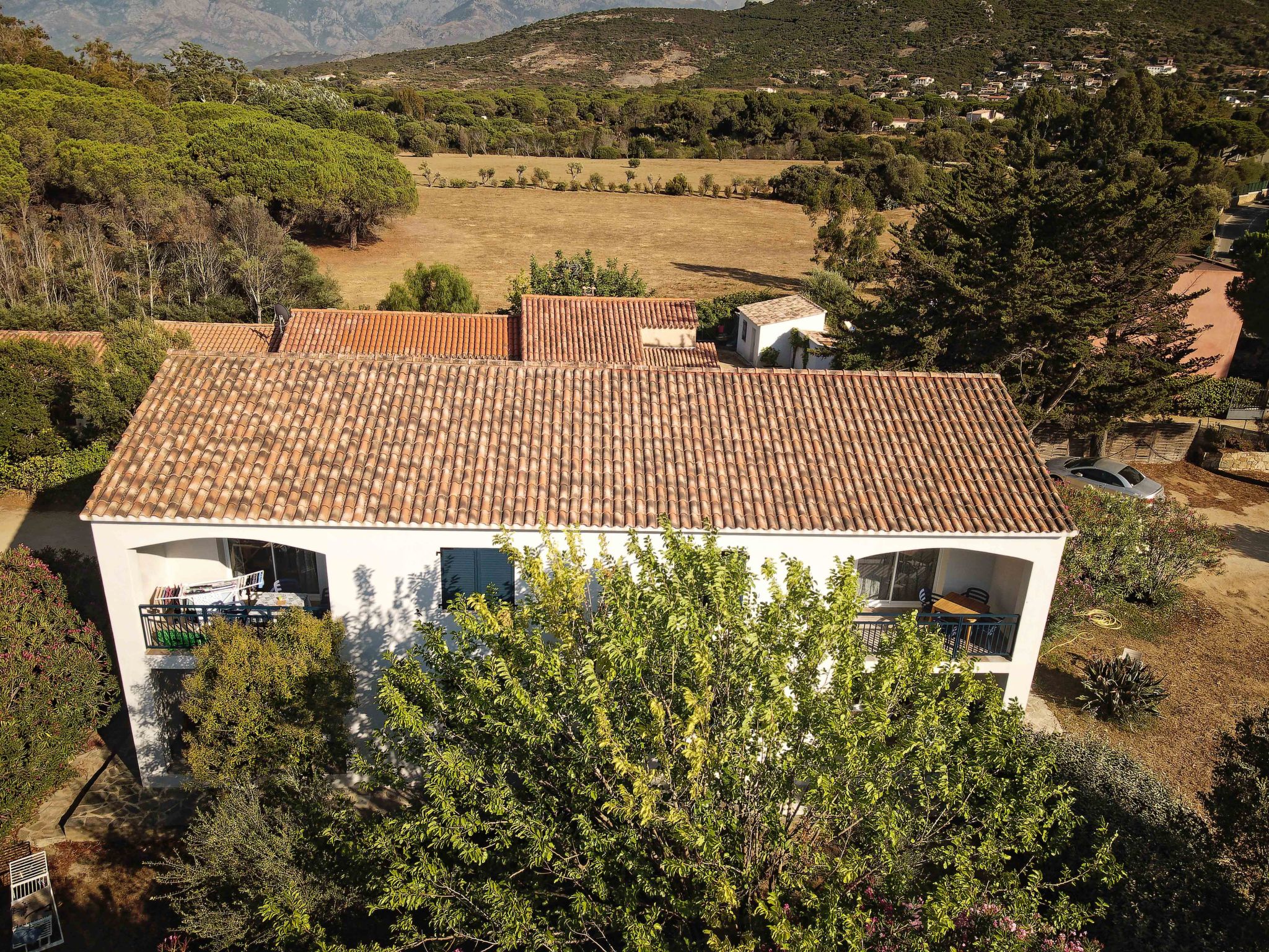 Photo of Scopa - Les Muriers