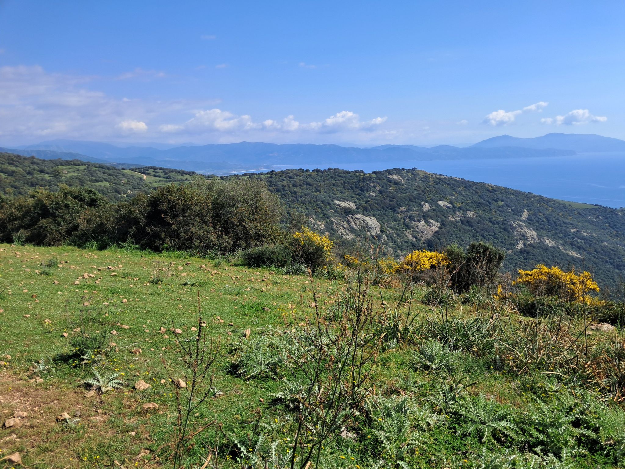 "Casa zinu" mit Blick aufs Meer-Inside