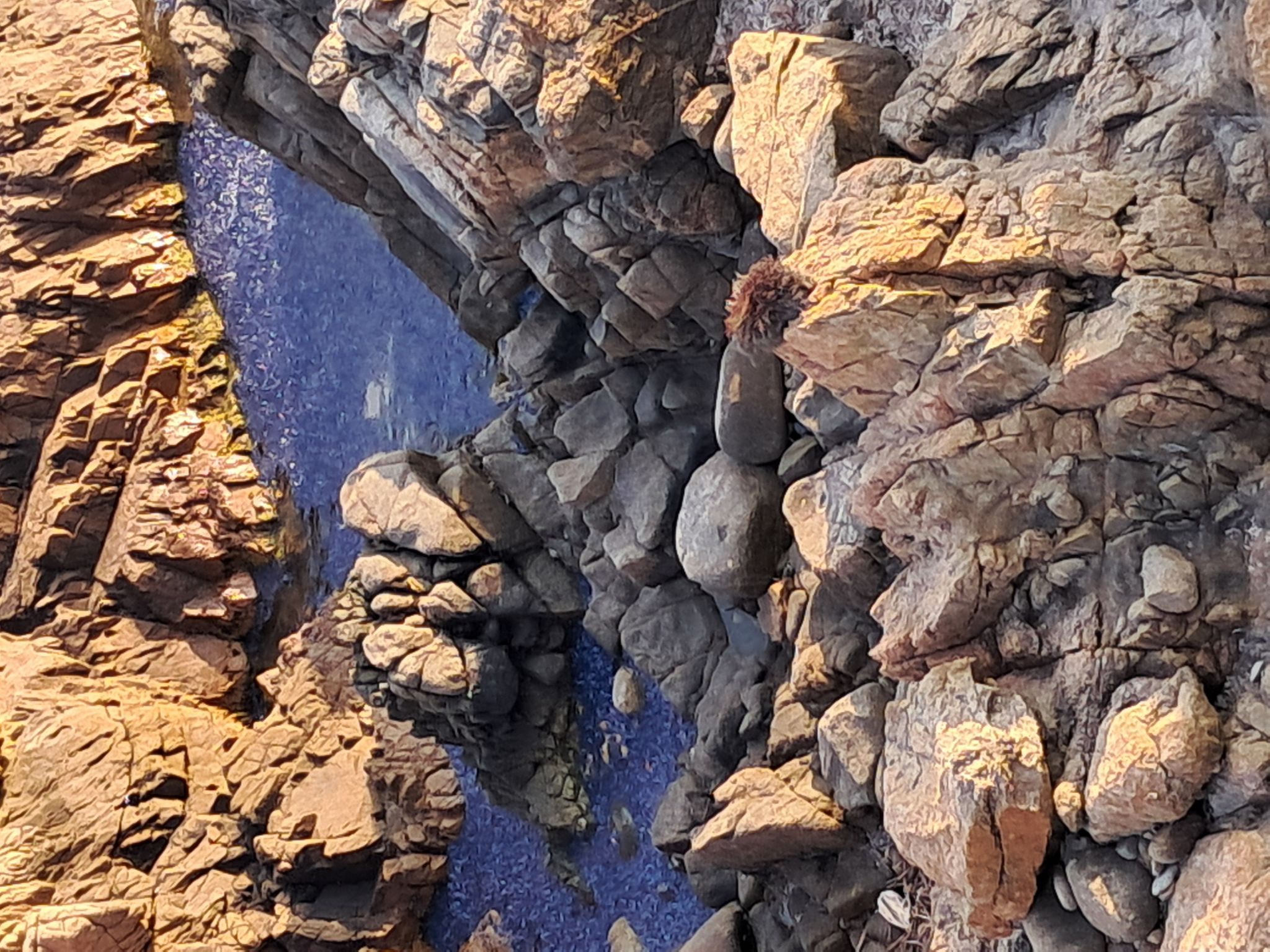 "Casa zinu" mit Blick aufs Meer-Inside