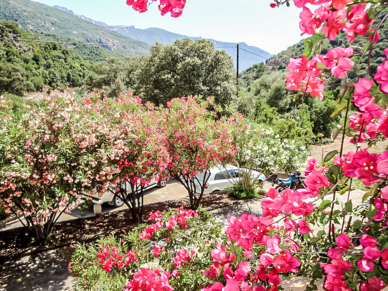 Search and Stay destination Serriera, Corse - France from AU$ 143. Residence Cabanaccia Studio 38m²