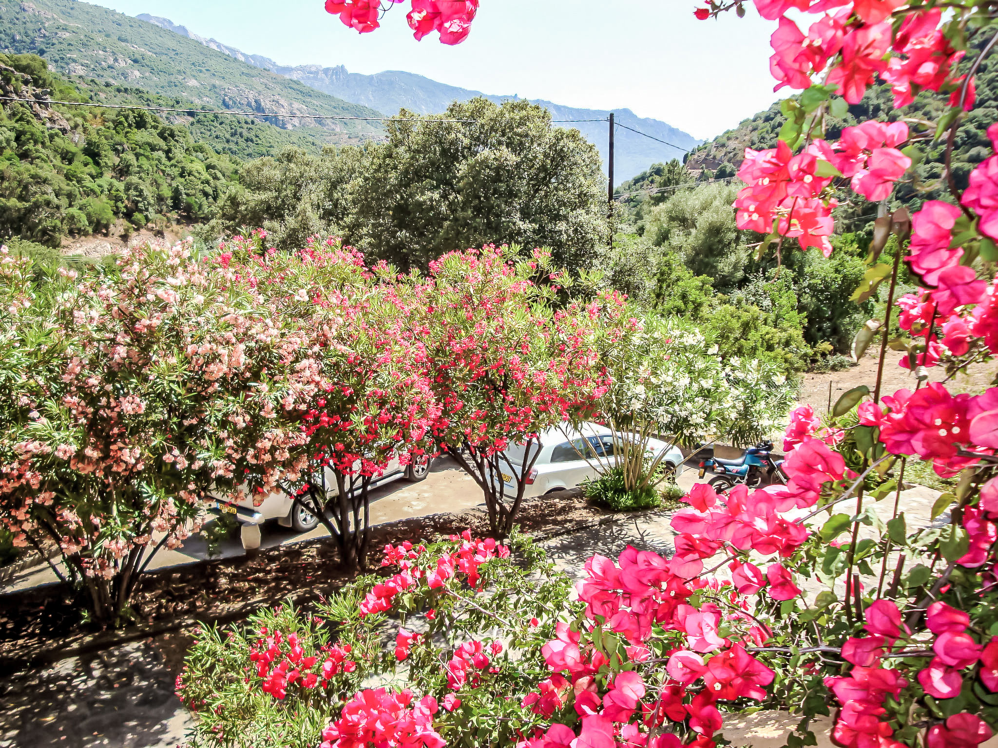 Photo of Residence Cabanaccia Studio 35m²