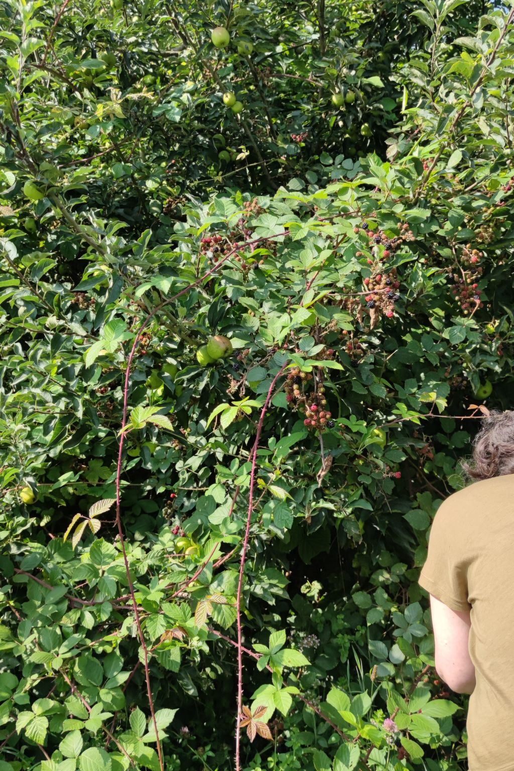 Gesellige Momente in der Nähe von Disneyland Paris-Image-tags.info