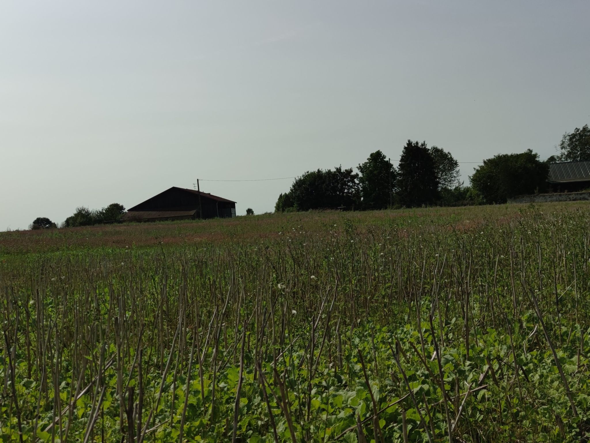 Gesellige Momente in der Nähe von Disneyland Paris-Image-tags.info