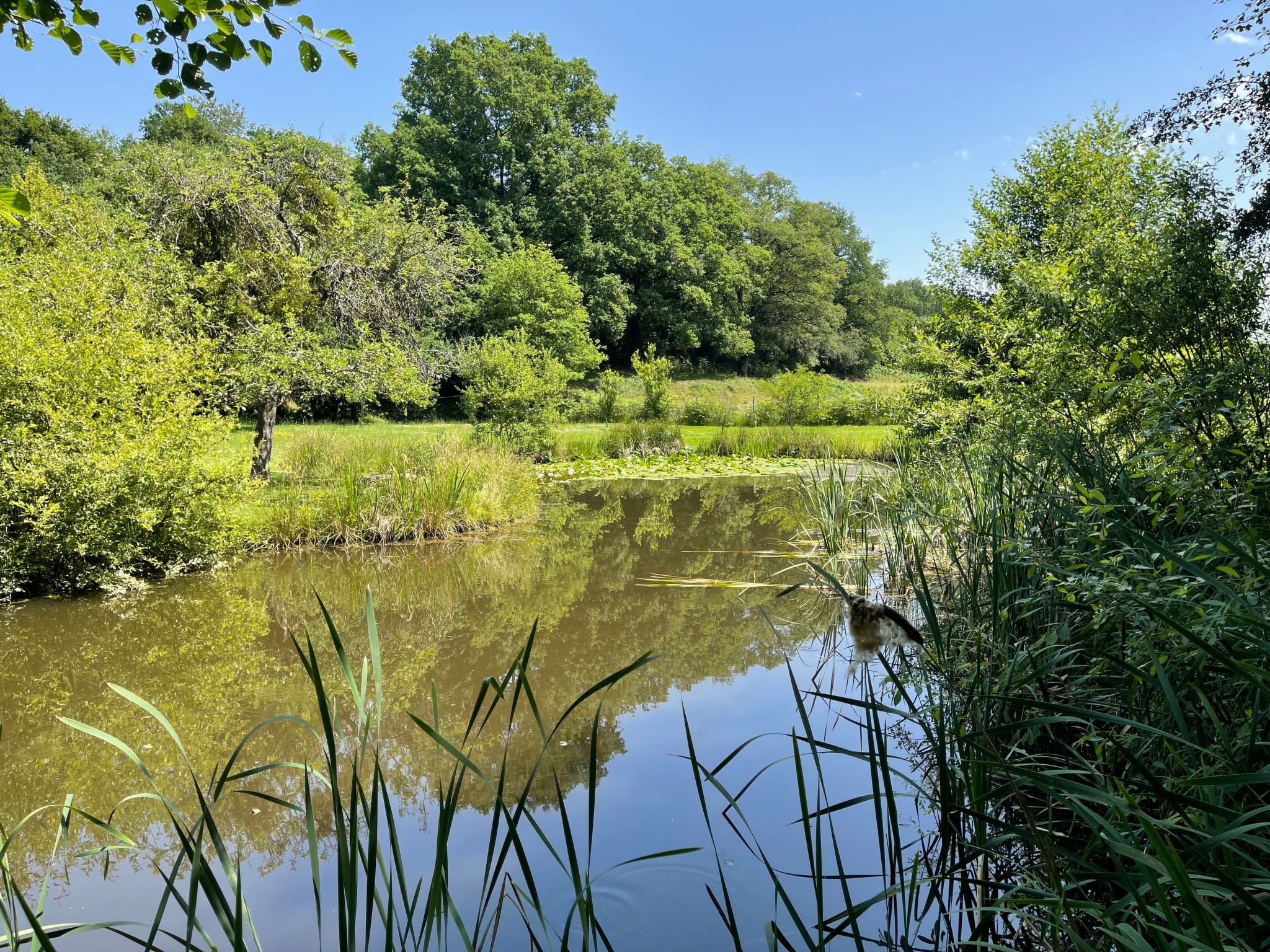 Für 6 Pers. mit eigenem Teich-Binnen