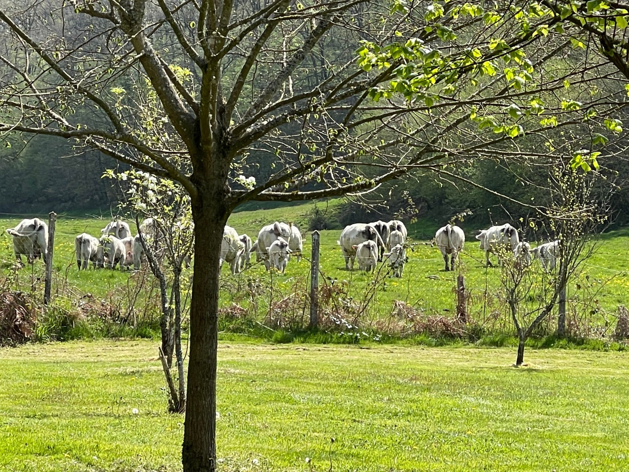 Für 6 Pers. mit eigenem Teich-Binnen