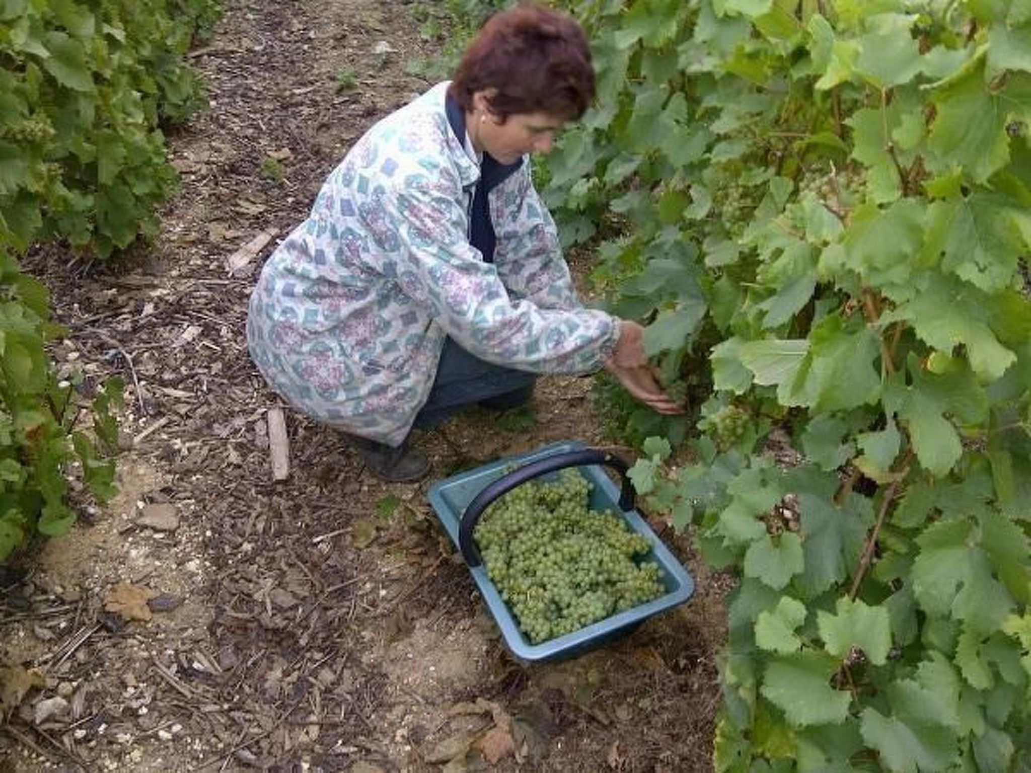 Haus im Herzen eines landwirtschaftlichen Betriebs-Image-tags.info