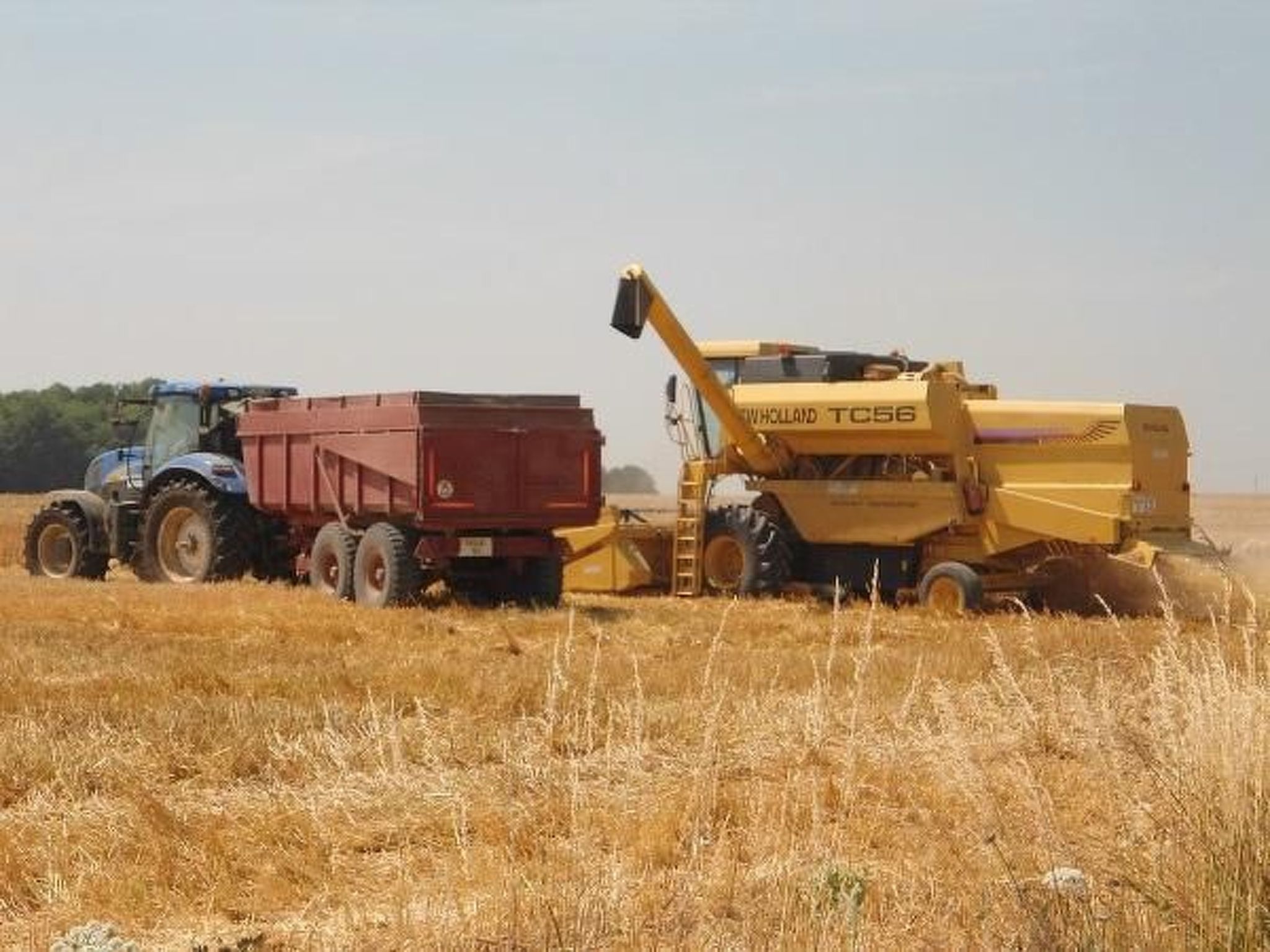 Haus im Herzen eines landwirtschaftlichen Betriebs-Buiten