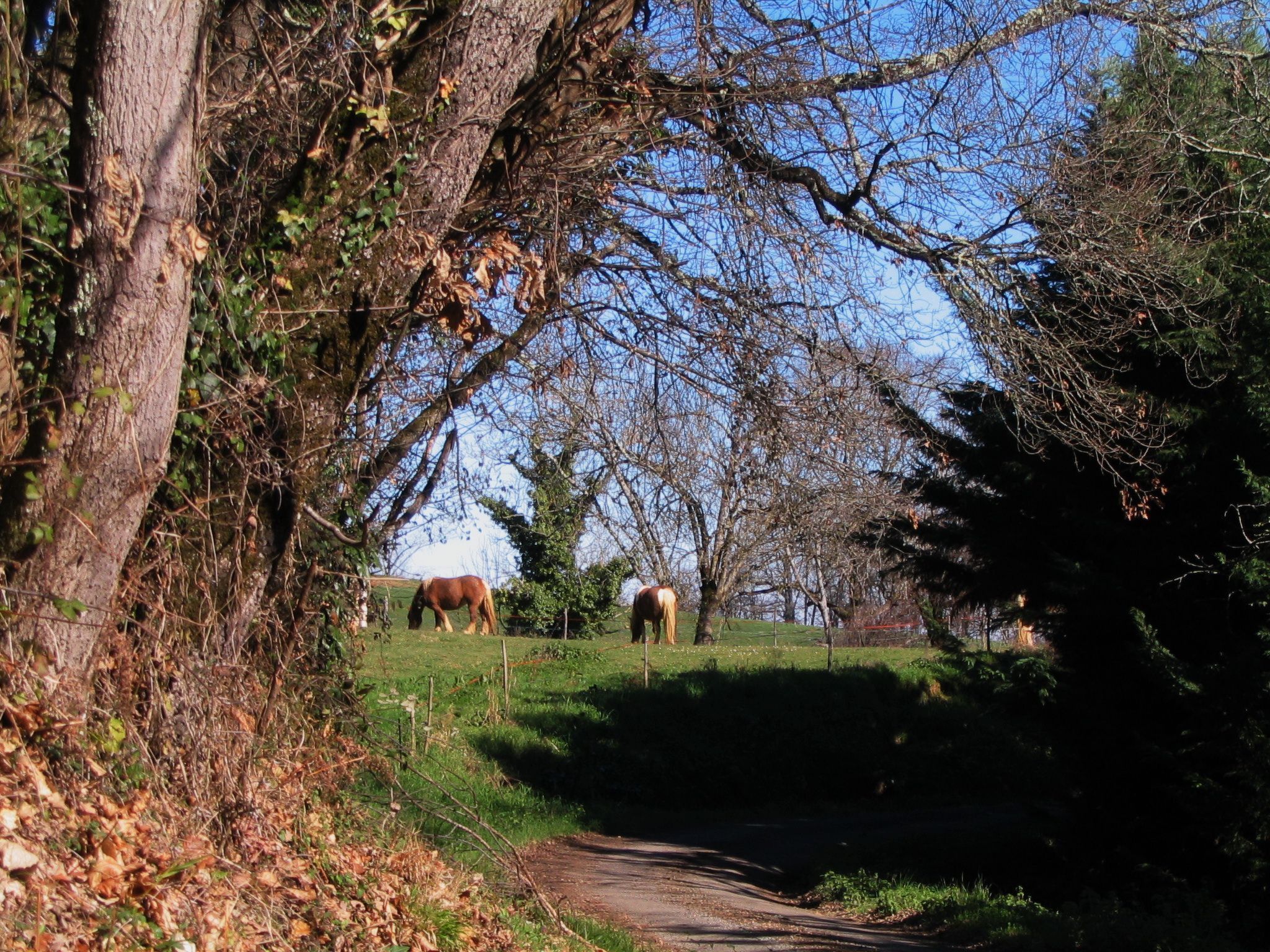In Sarraguzan mit Privatem Pool-Image-tags.info