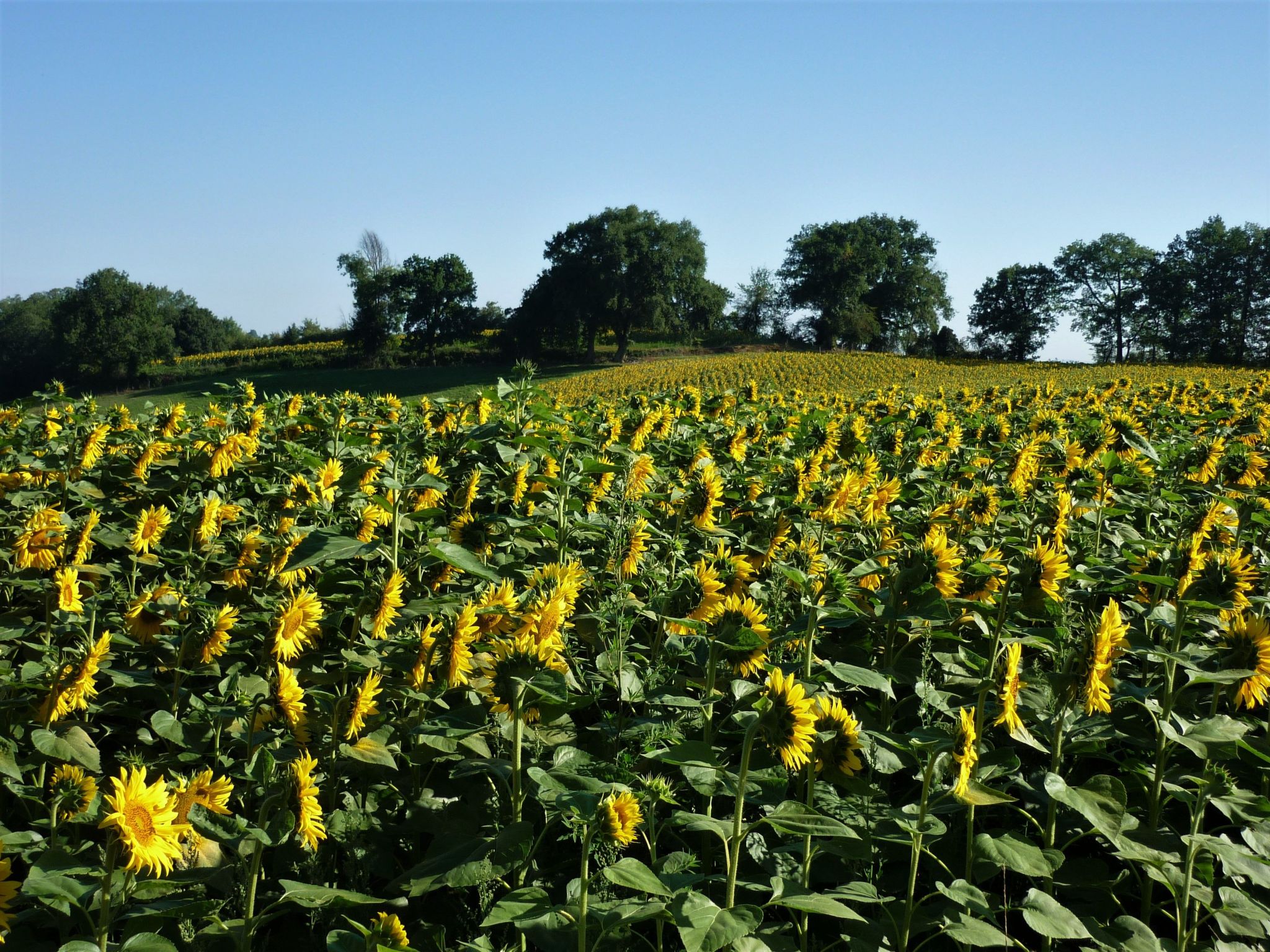 In Sarraguzan mit Privatem Pool-Image-tags.info