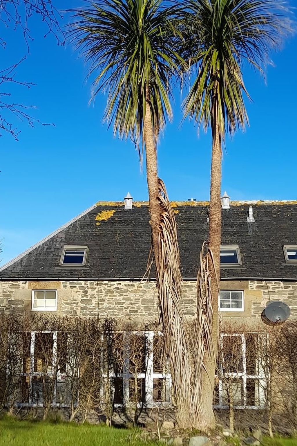 "Der Kornspeicher" mit Terrasse-Buiten