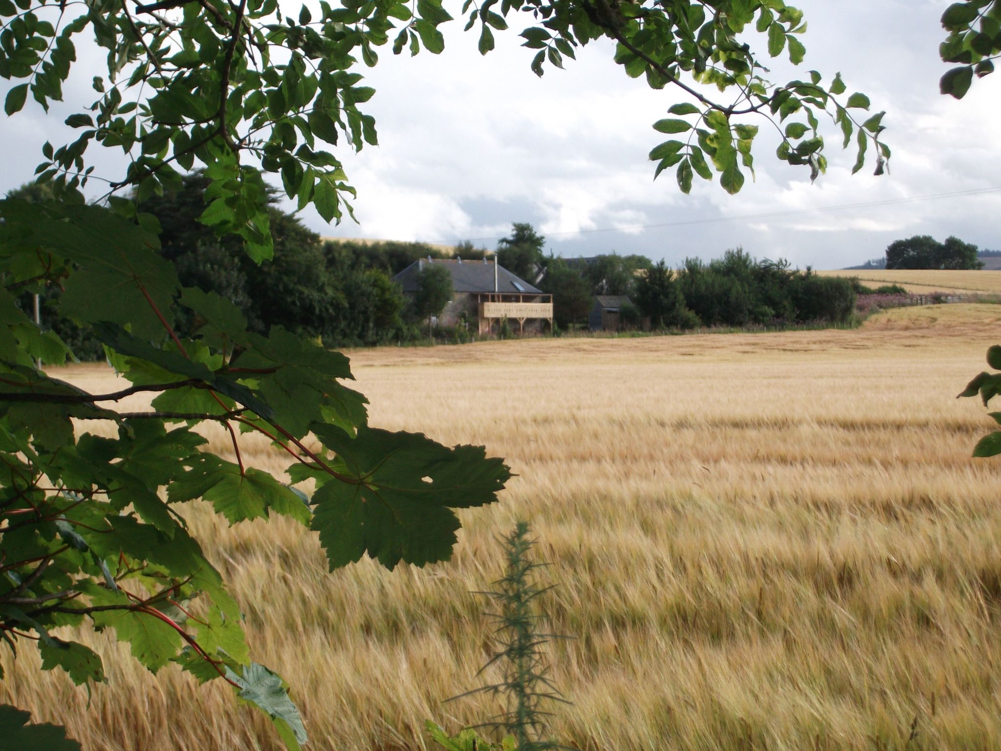 "Der Kornspeicher" mit Terrasse-Buiten