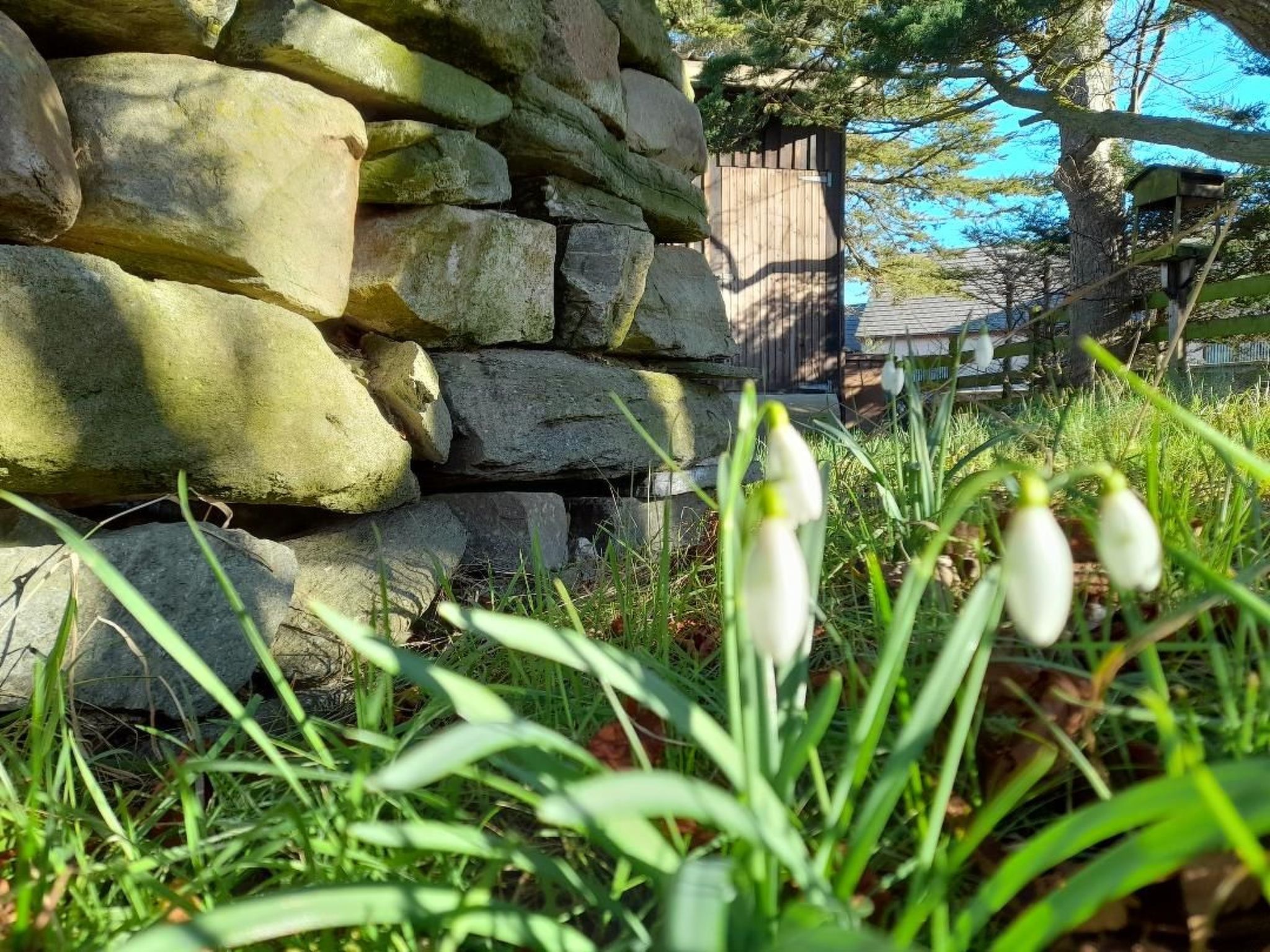 "Der Kornspeicher" mit Terrasse-Buiten