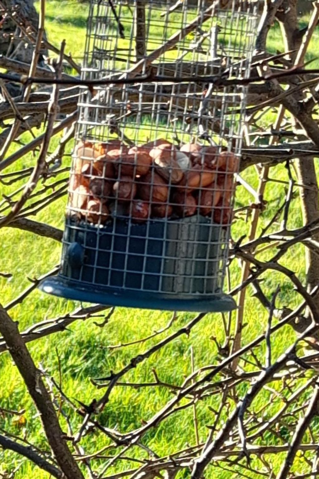 "Der Kornspeicher" mit Terrasse-Image-tags.info