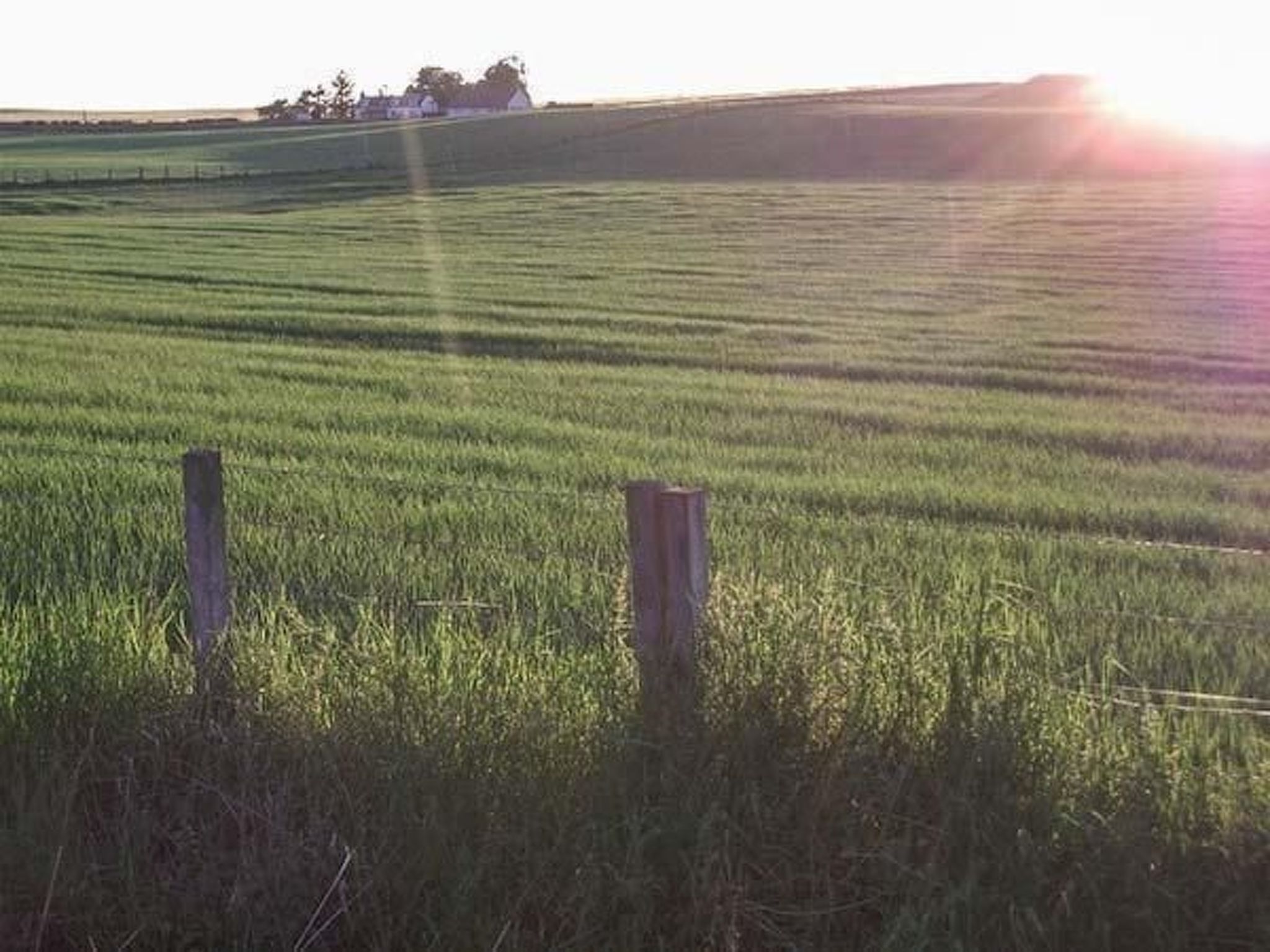 "Der Kornspeicher" mit Terrasse-Buiten