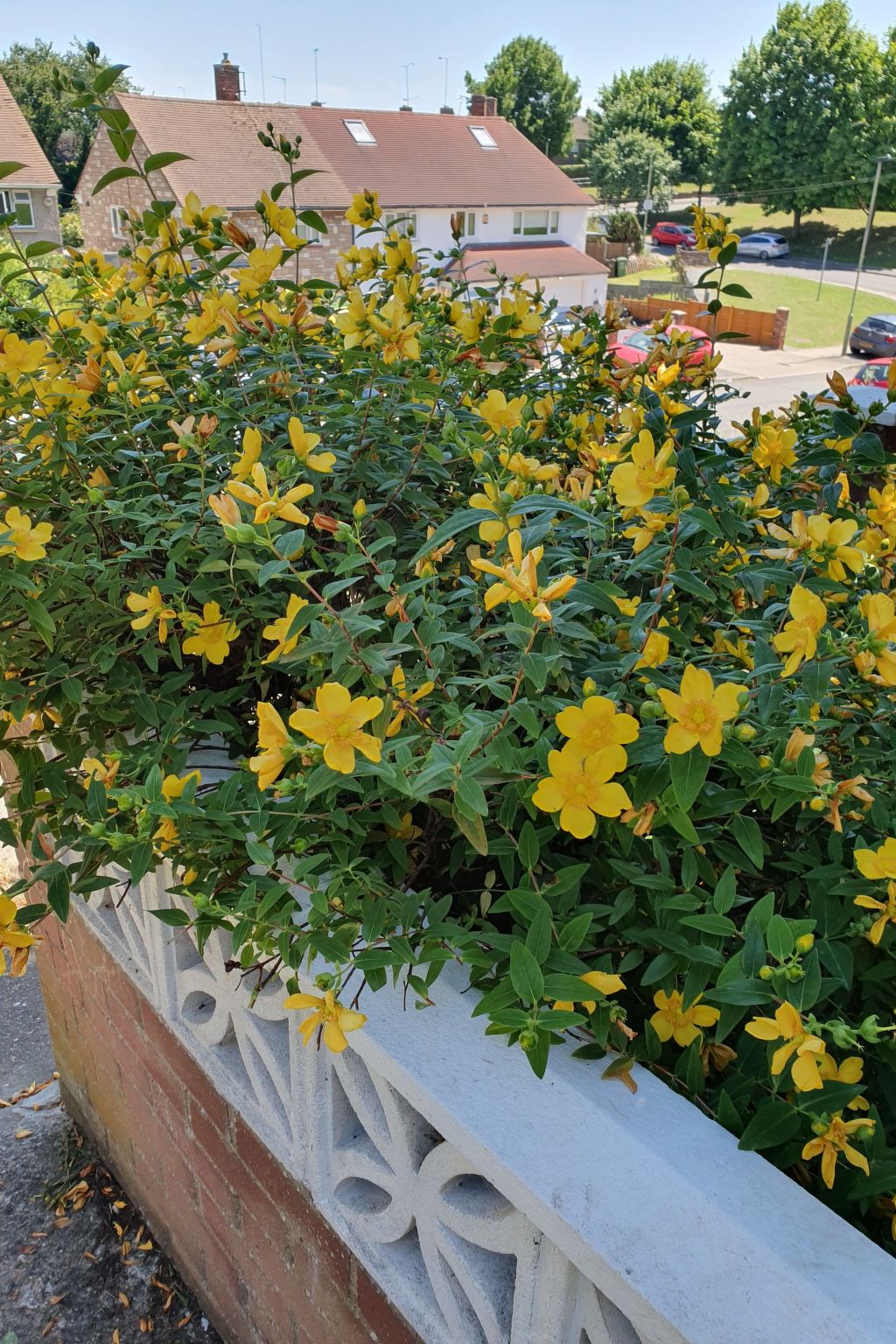 Schönes Haus in Orpington-Buiten