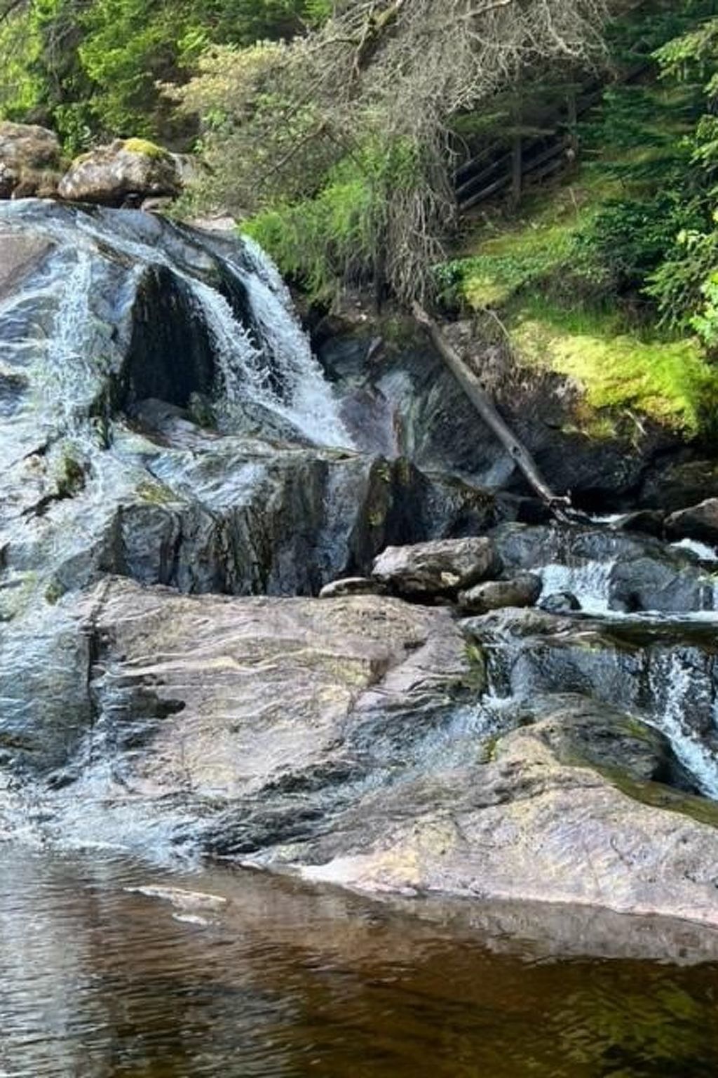 Benmore Farm House in Stirling mit Bergblick-Binnen