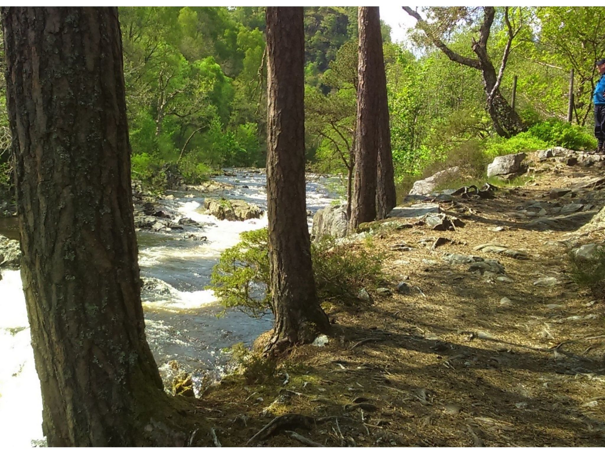 Schönes viktorianische Villa in Blairgowrie-Binnen