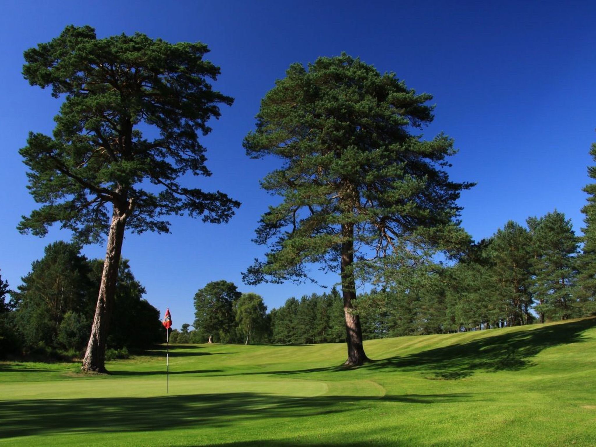 Schönes viktorianische Villa in Blairgowrie-Binnen