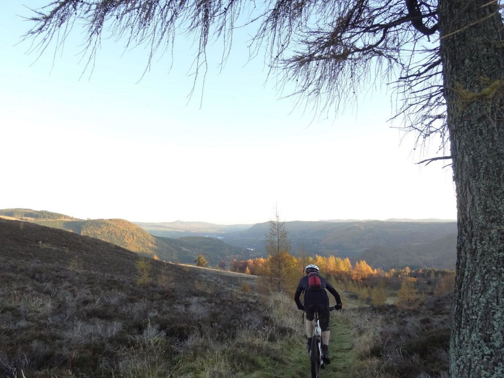 Schönes viktorianische Villa in Blairgowrie-Binnen