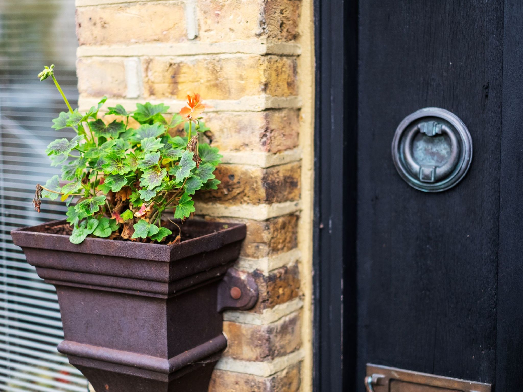 Holly Lodge Coach House — Terrace (4 of 44)