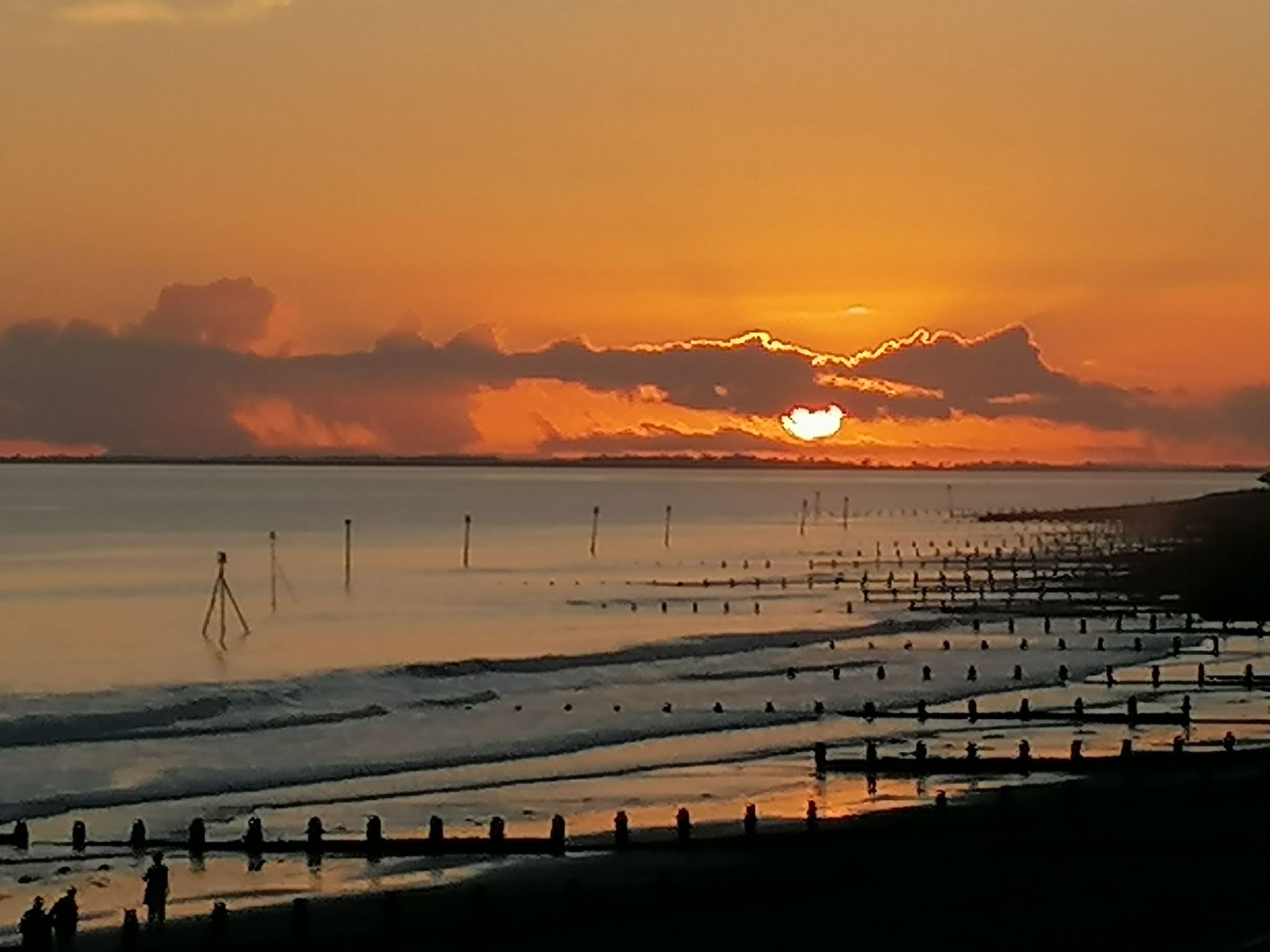 "Stewart" mit Blick auf das Wasser-Image-tags.info