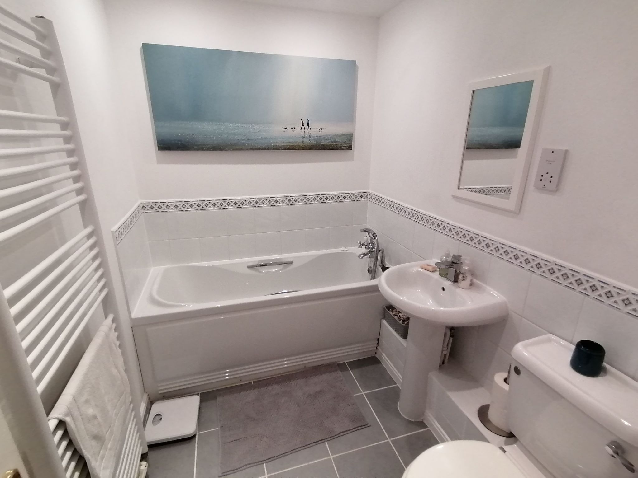 "Stewart" mit Blick auf das Wasser-Image-tags.info